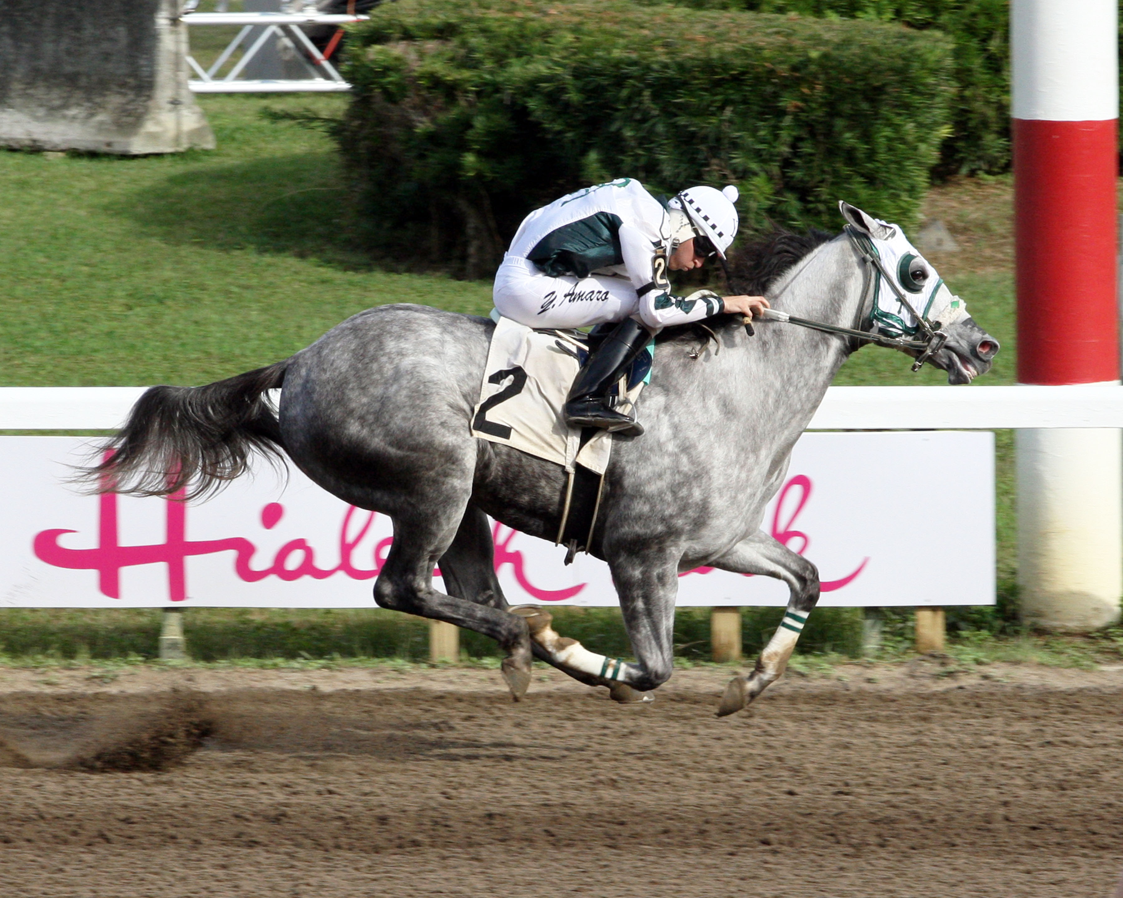 Moonin the Eagle 12-27-2014