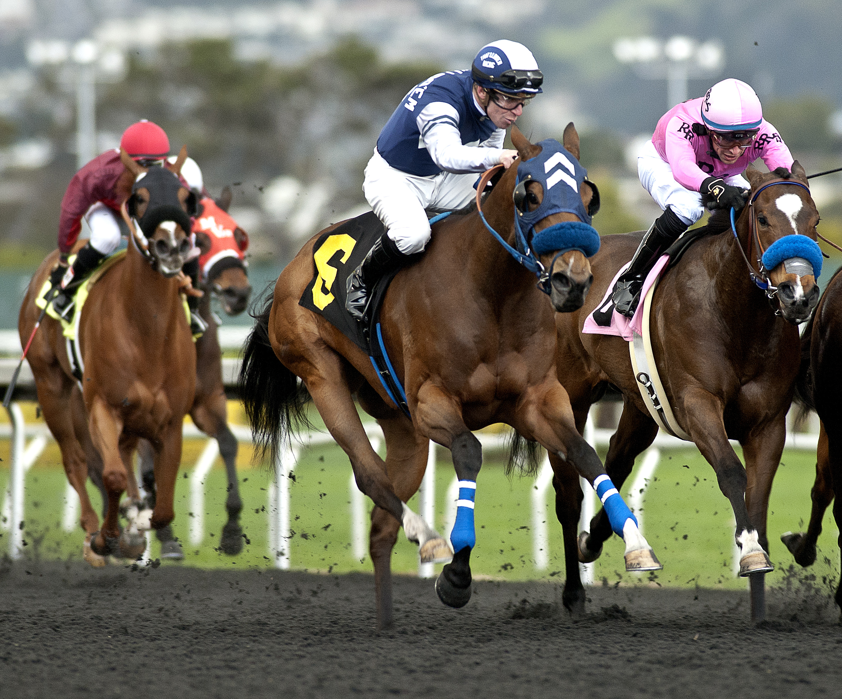 Mother of Dragons wins the 2018 Camilla Urso Stakes