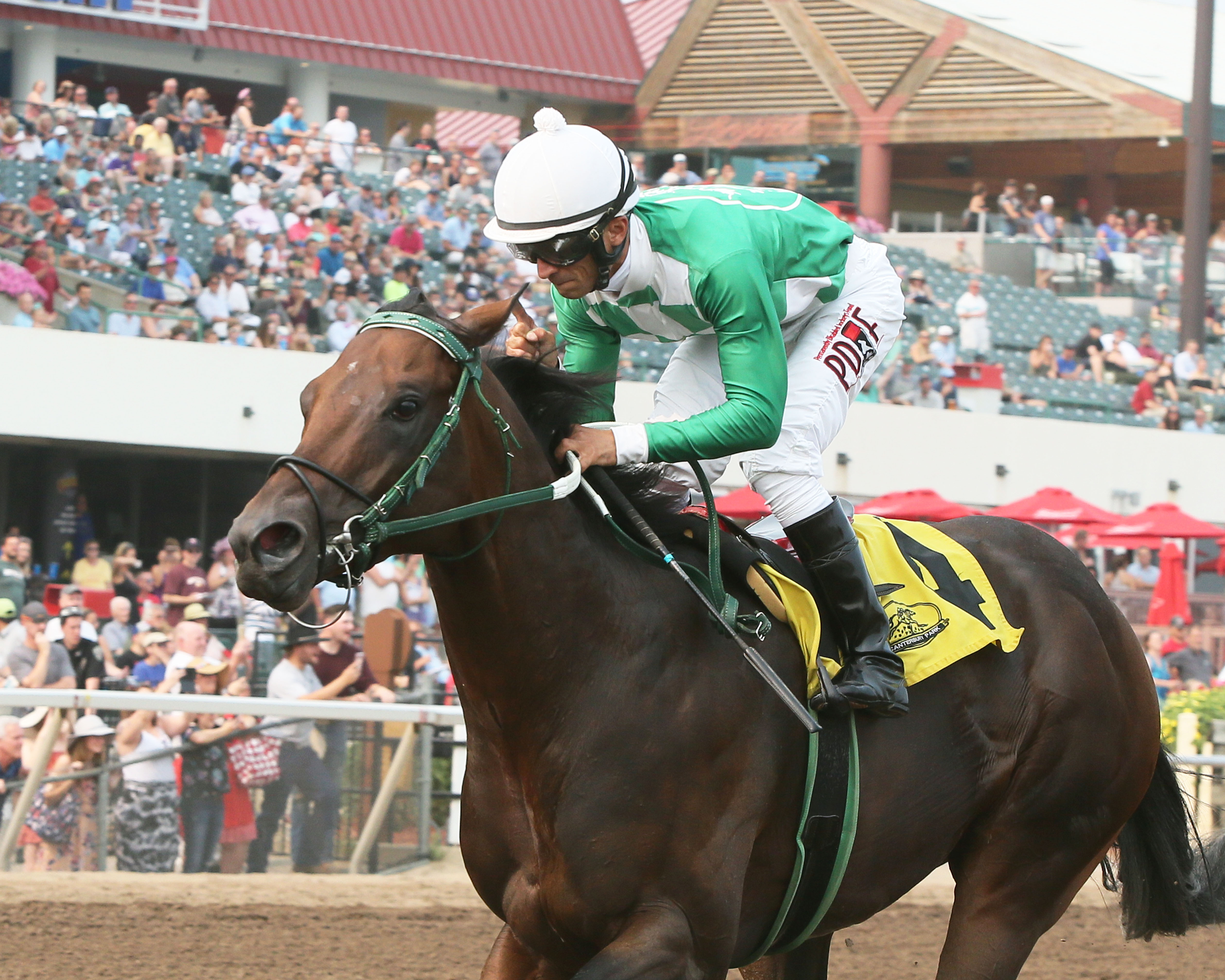 Mr. Jagermeister wins 2018 Minnesota Derby