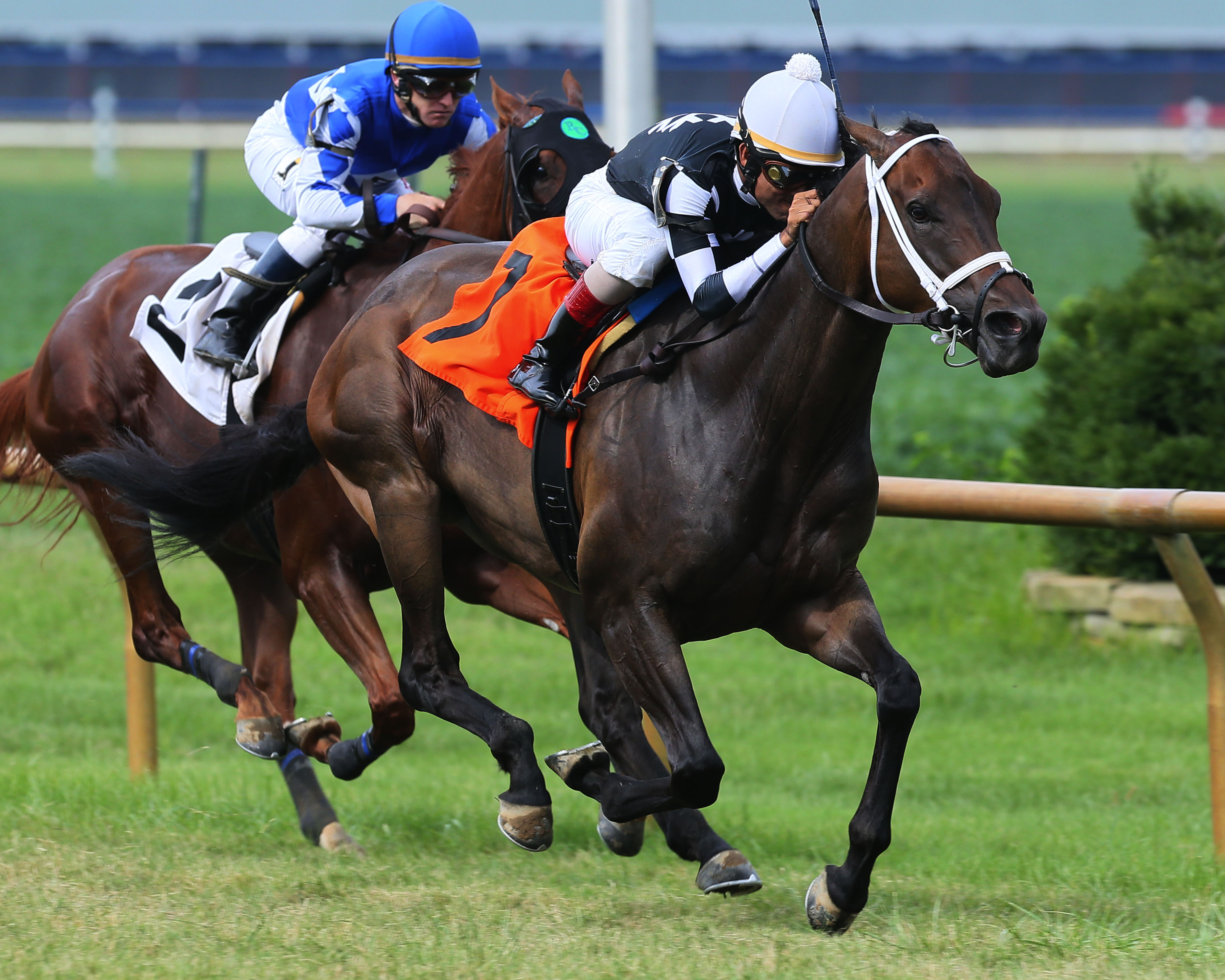 Mr Misunderstood wins 2018 Kentucky Downs Preview Tourist Mile