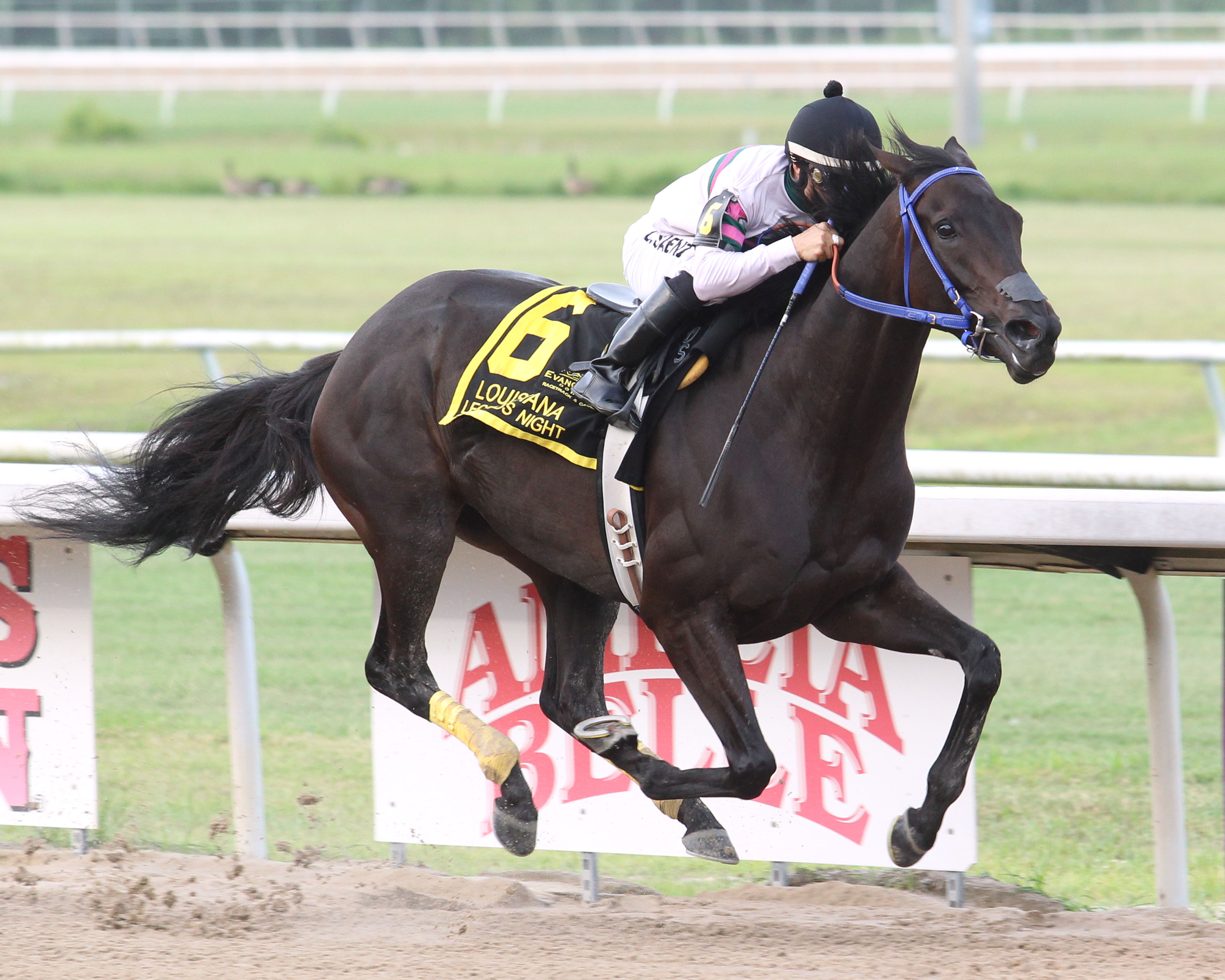 Mr. Al's Gal wins 2018 Louisiana Legends Distaff