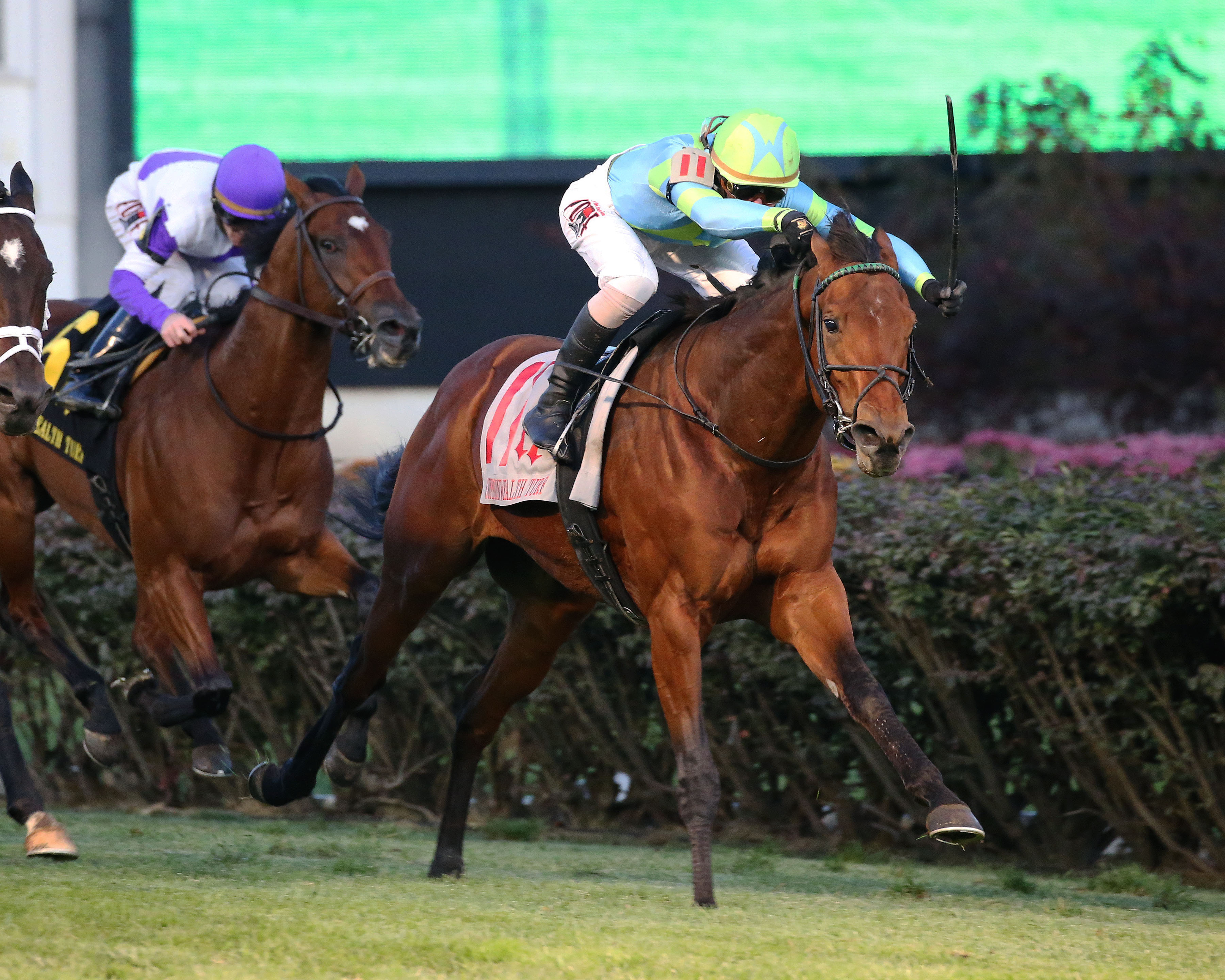 Mr Dumas wins the 2019 Commonwealth Turf
