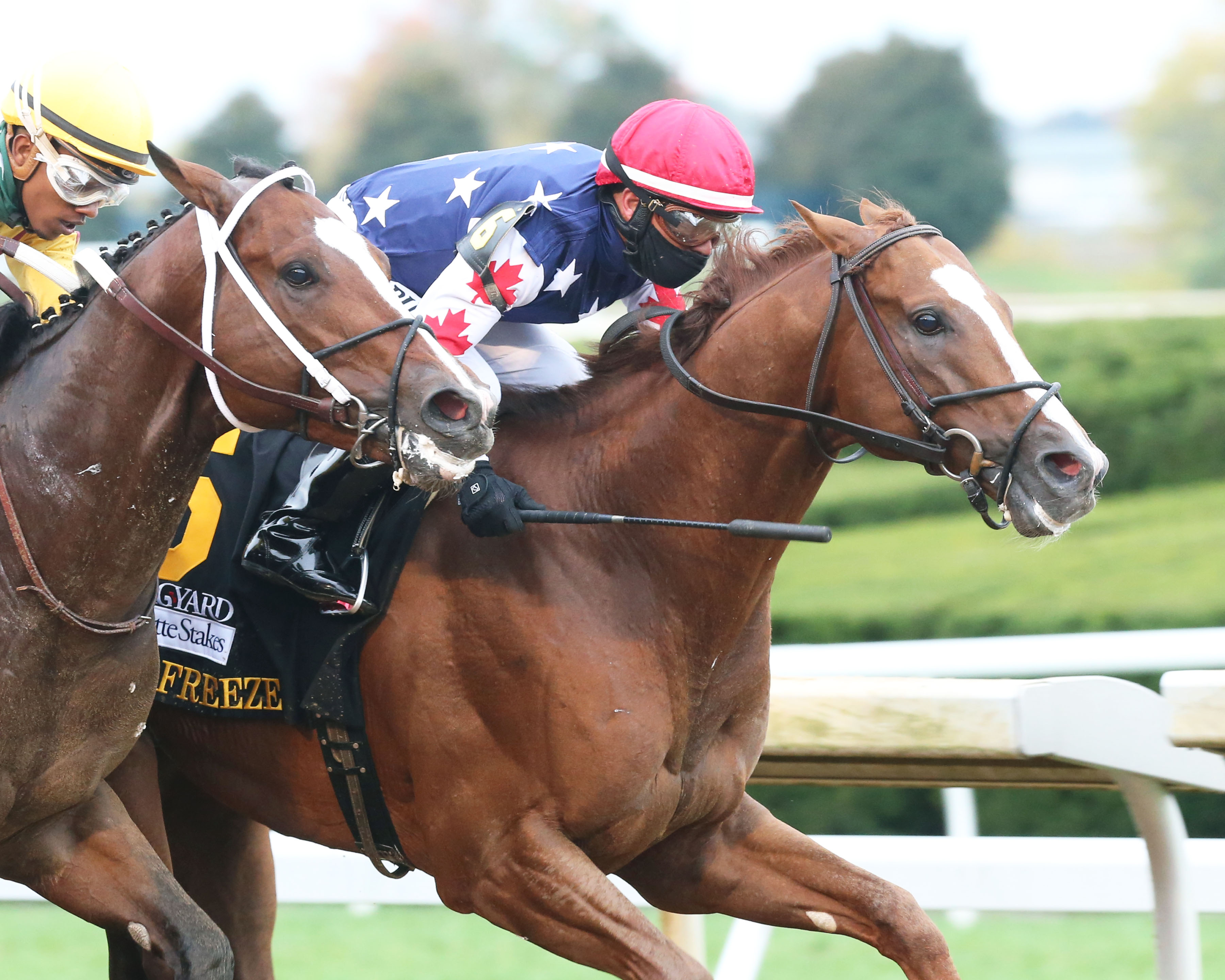 Mr Freeze wins Fayette Stakes 10-10-2020
