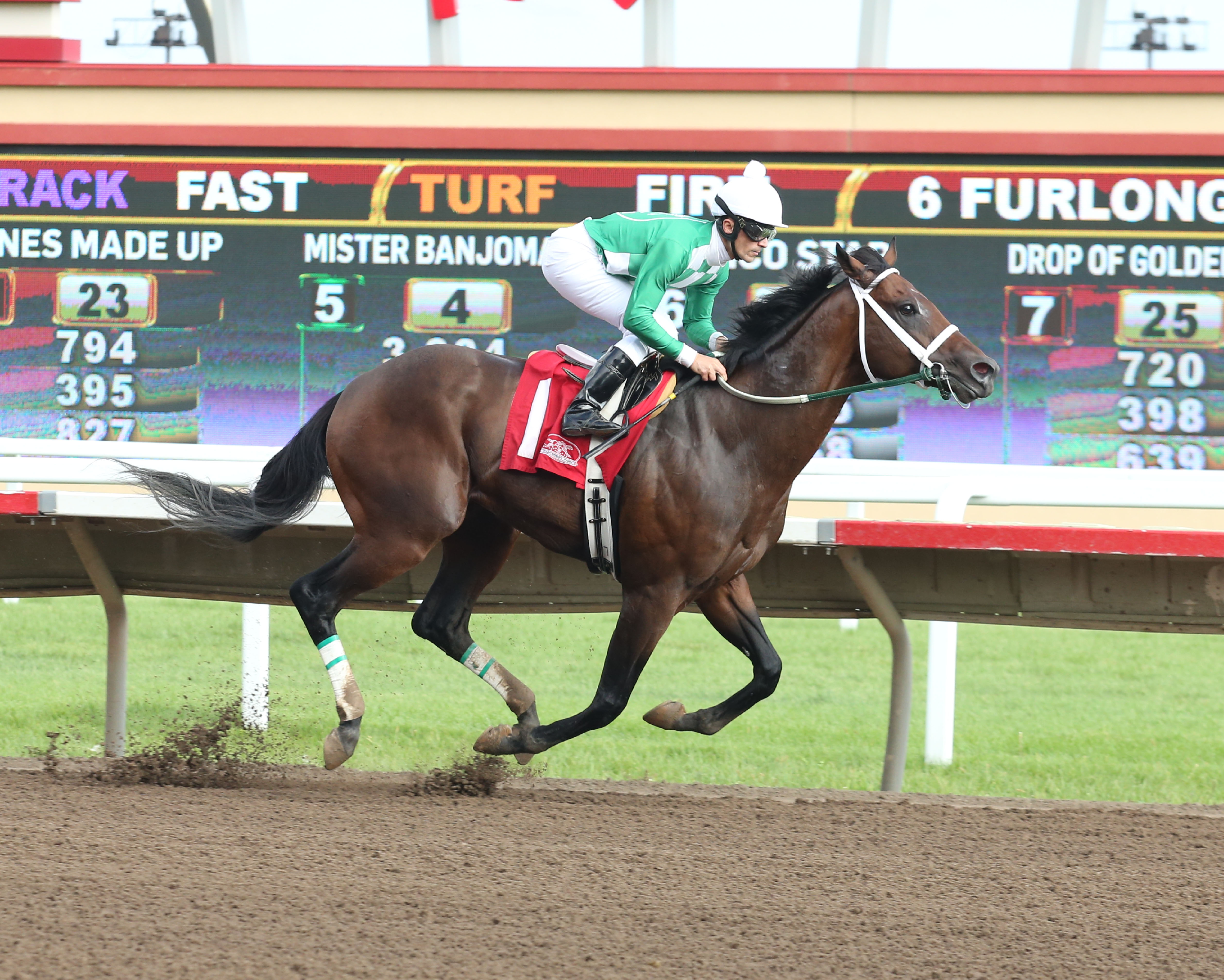 Mr. Jagermeister wins the 2019 Minnesota Sprint Championship