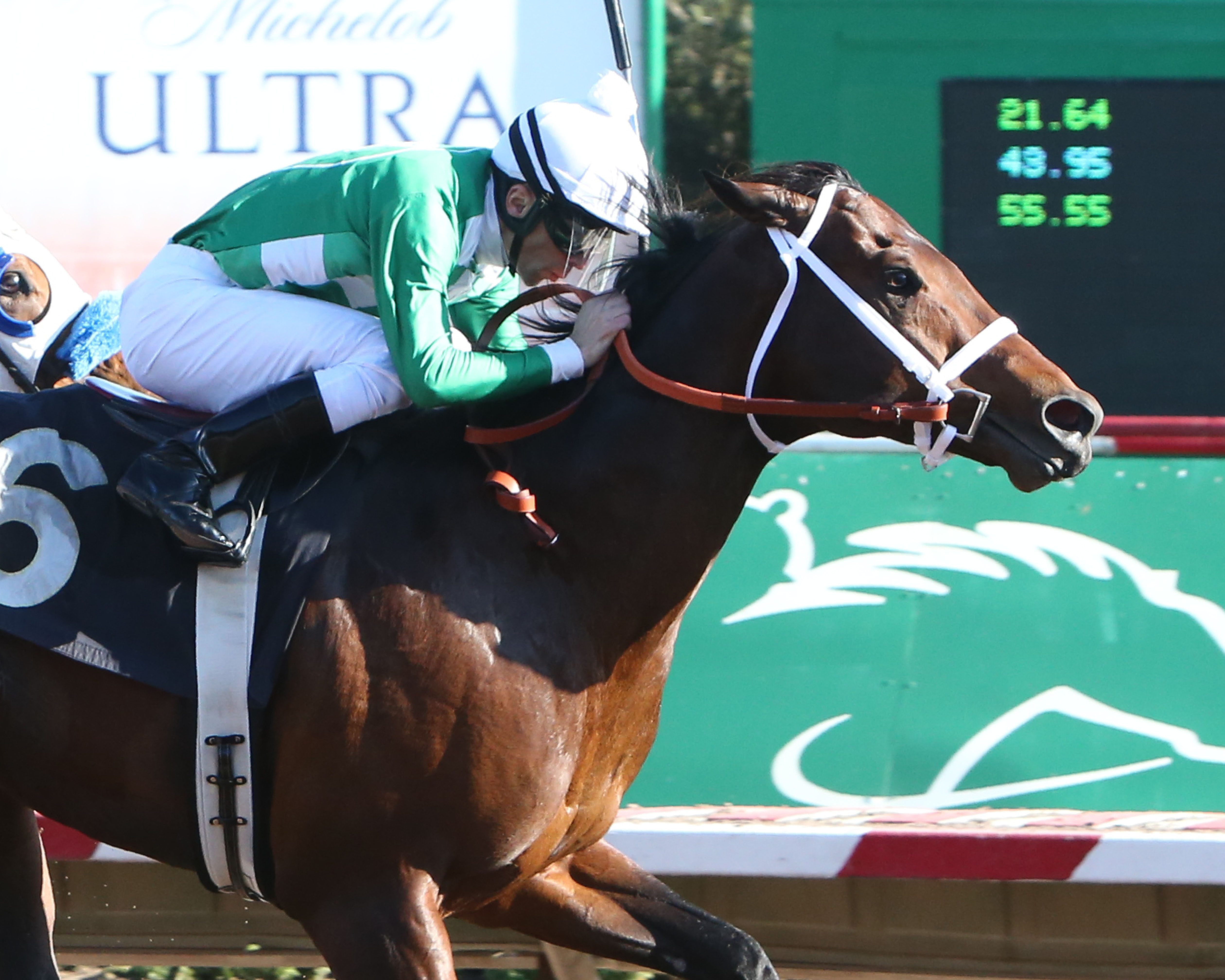 Mr. Jagermeister wins the 2020 Phoenix Gold Cup