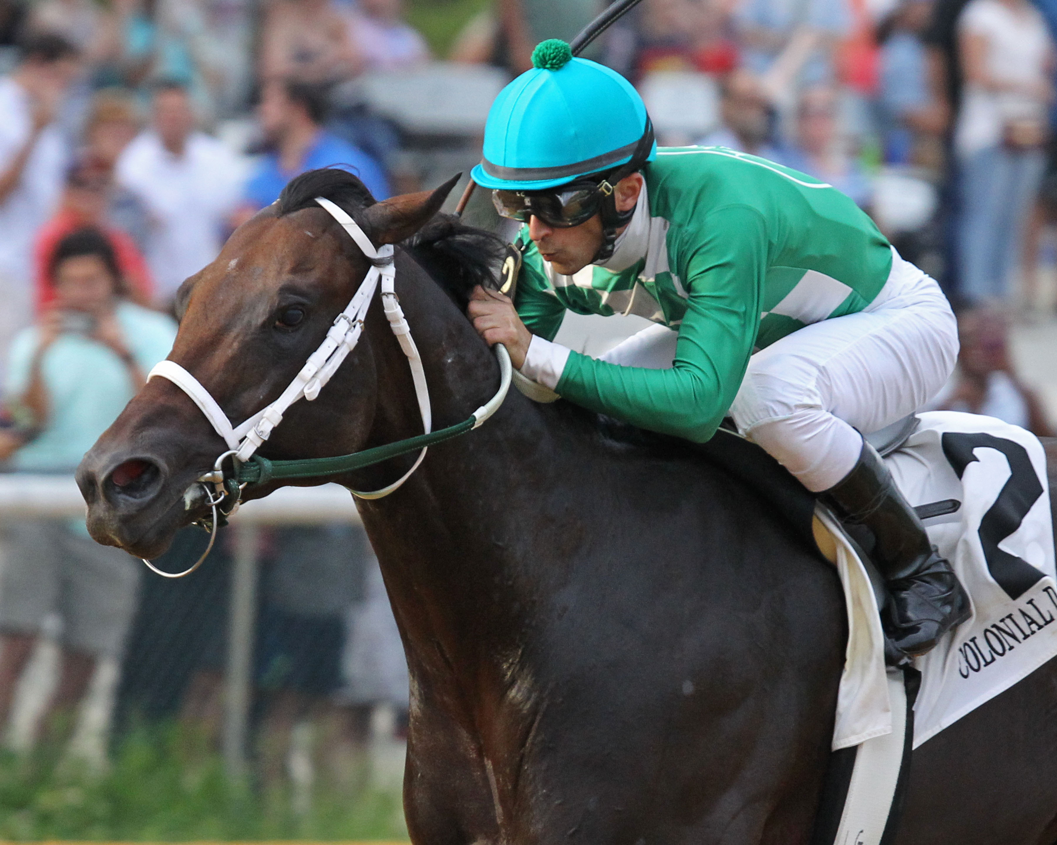 Mr. Jagermeister wins the 2019 Chesapeake Stakes