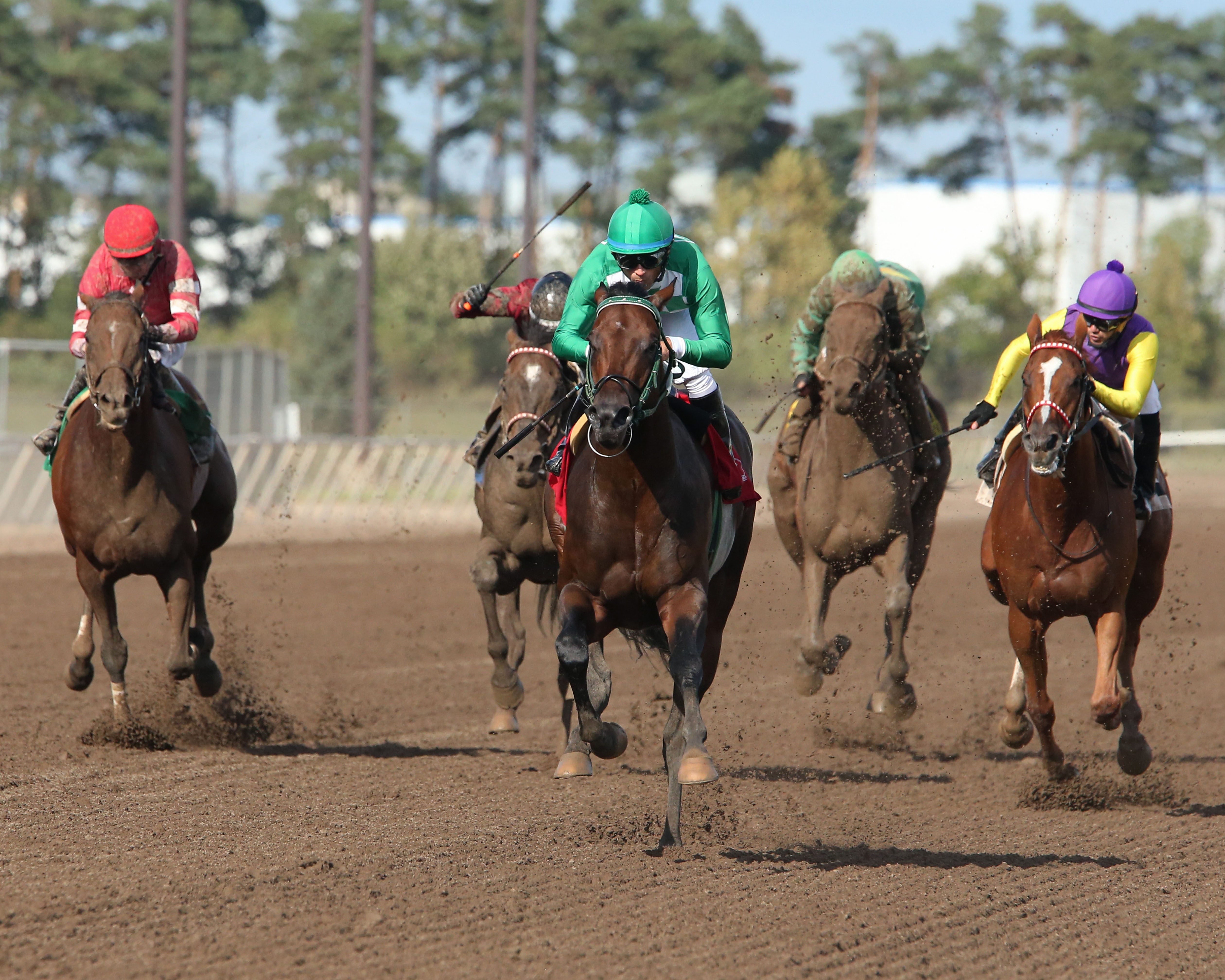 Mr Jagermeister wins 2018 Minnesota Classic