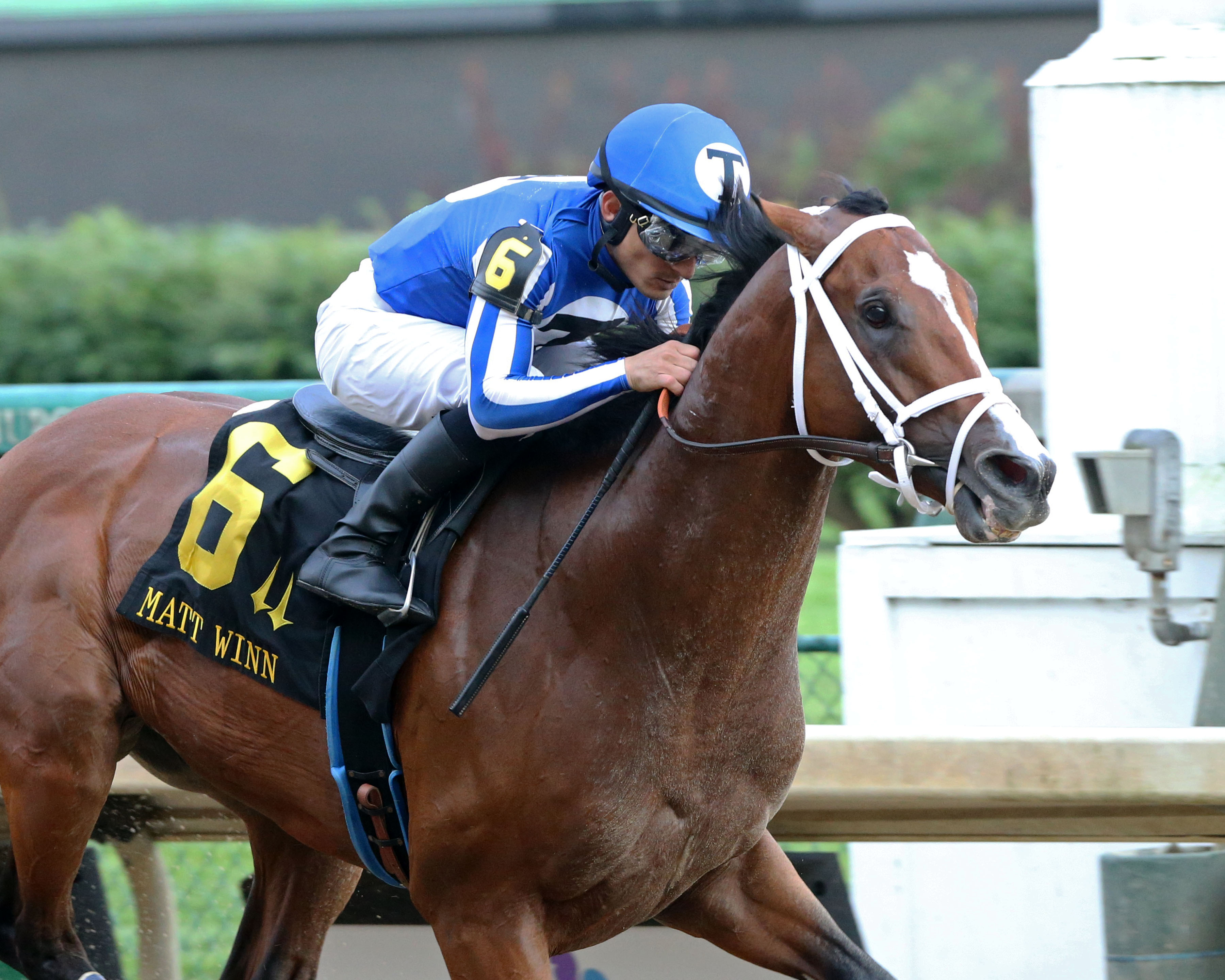 Mr. Money wins the 2019 Matt Winn Stakes