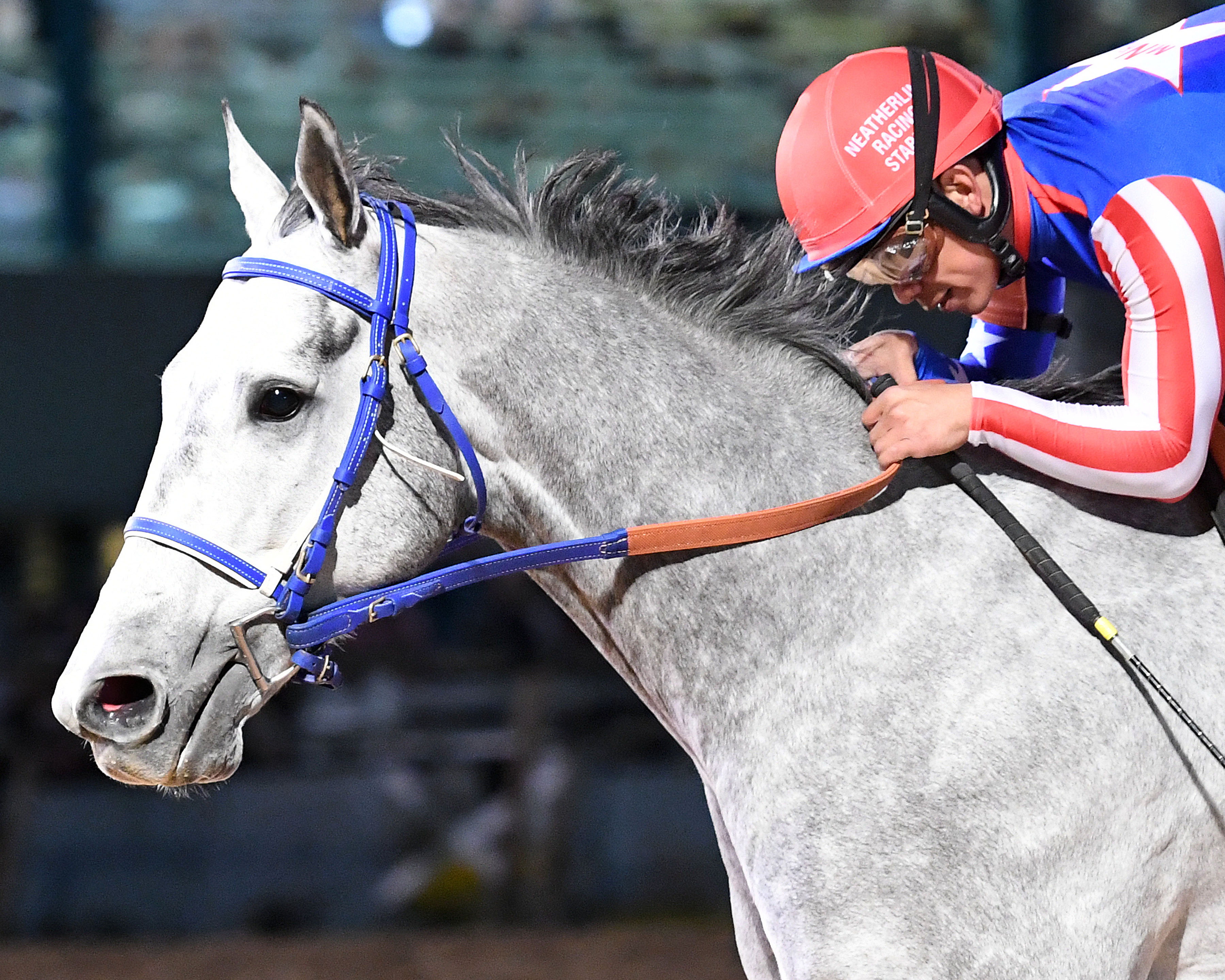 Mr Money Bags wins H-Town 2-19-2022