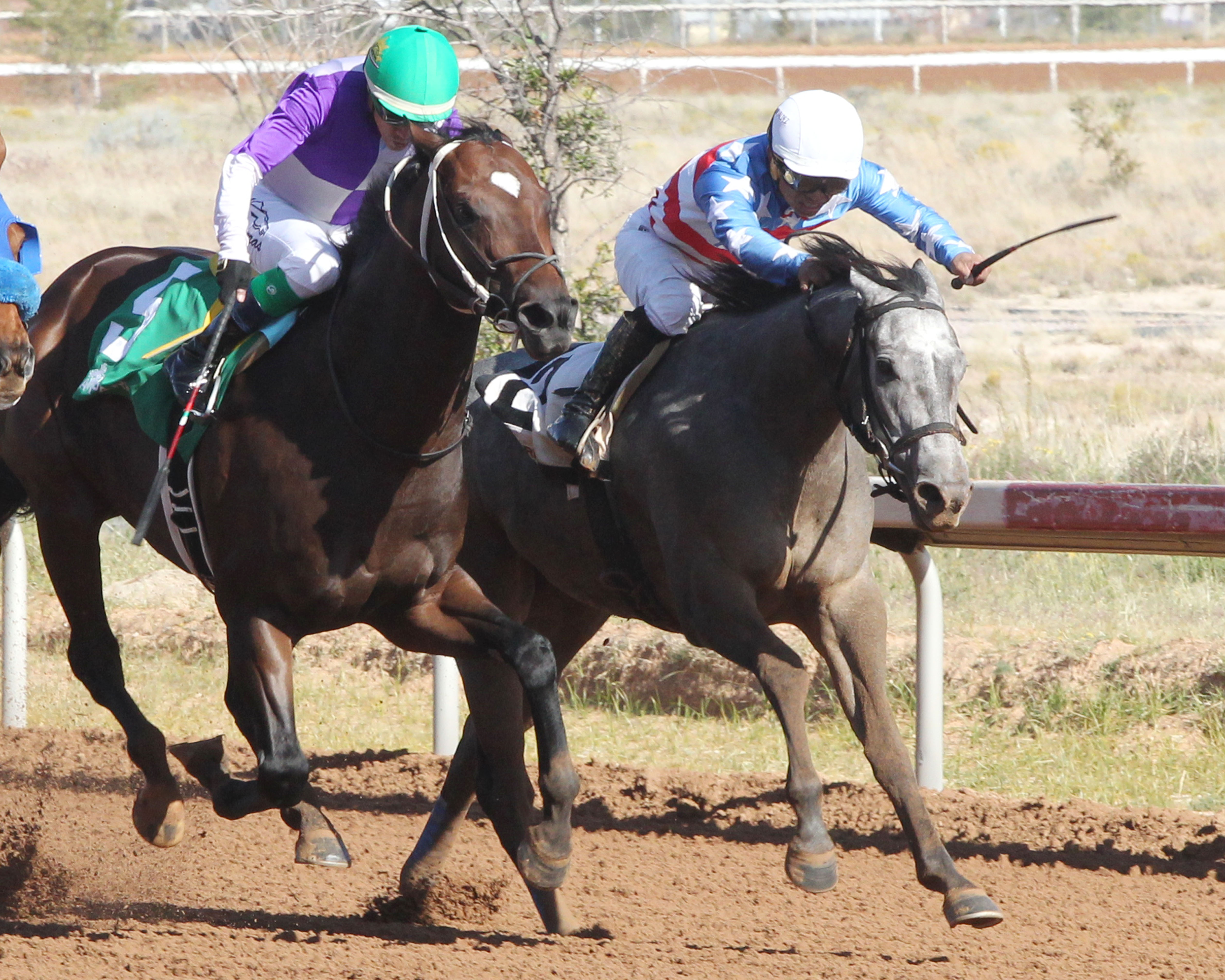 Mr Money Bags (right) wins the 2019 Roadrunner Stakes
