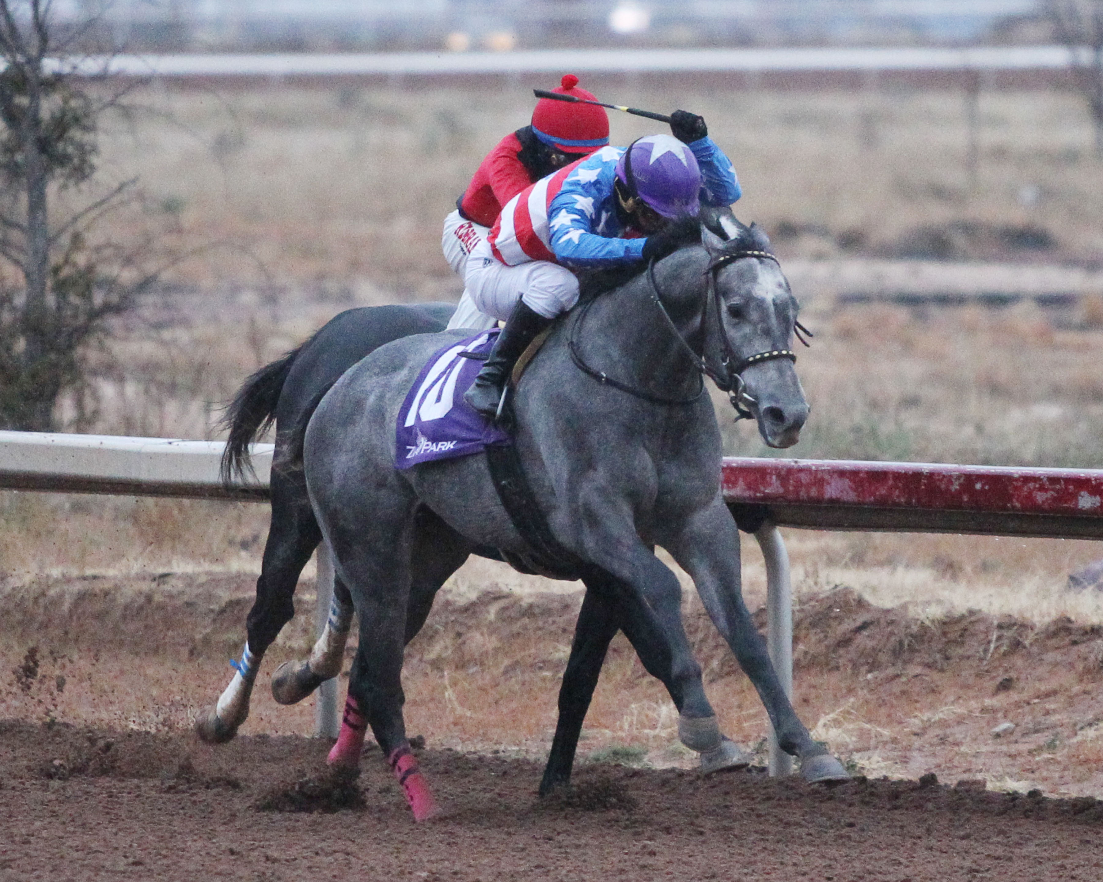 Mr Money Bags/Zia Park Derby