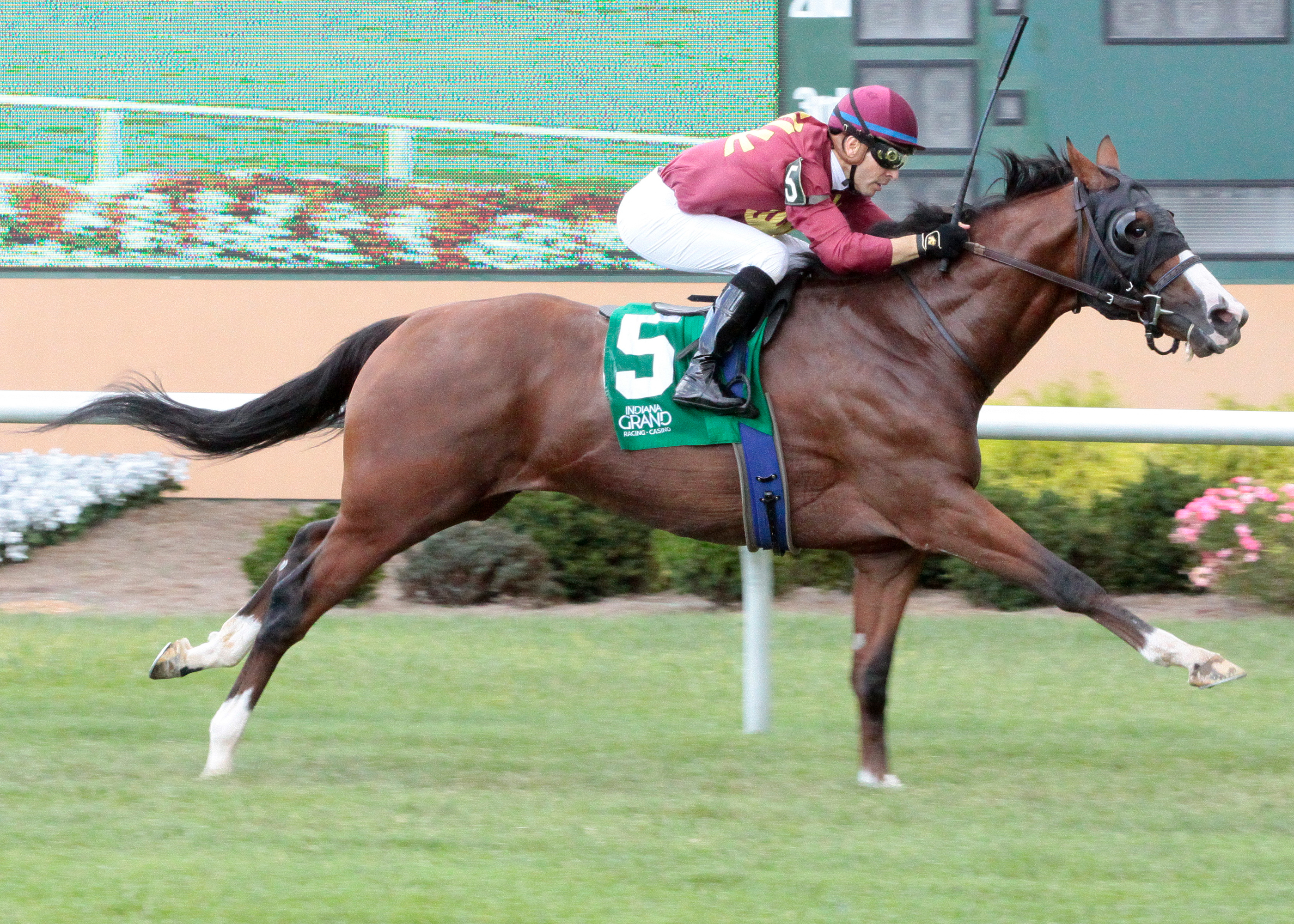 Mr Ritz wins the 2017 Caesars Stakes
