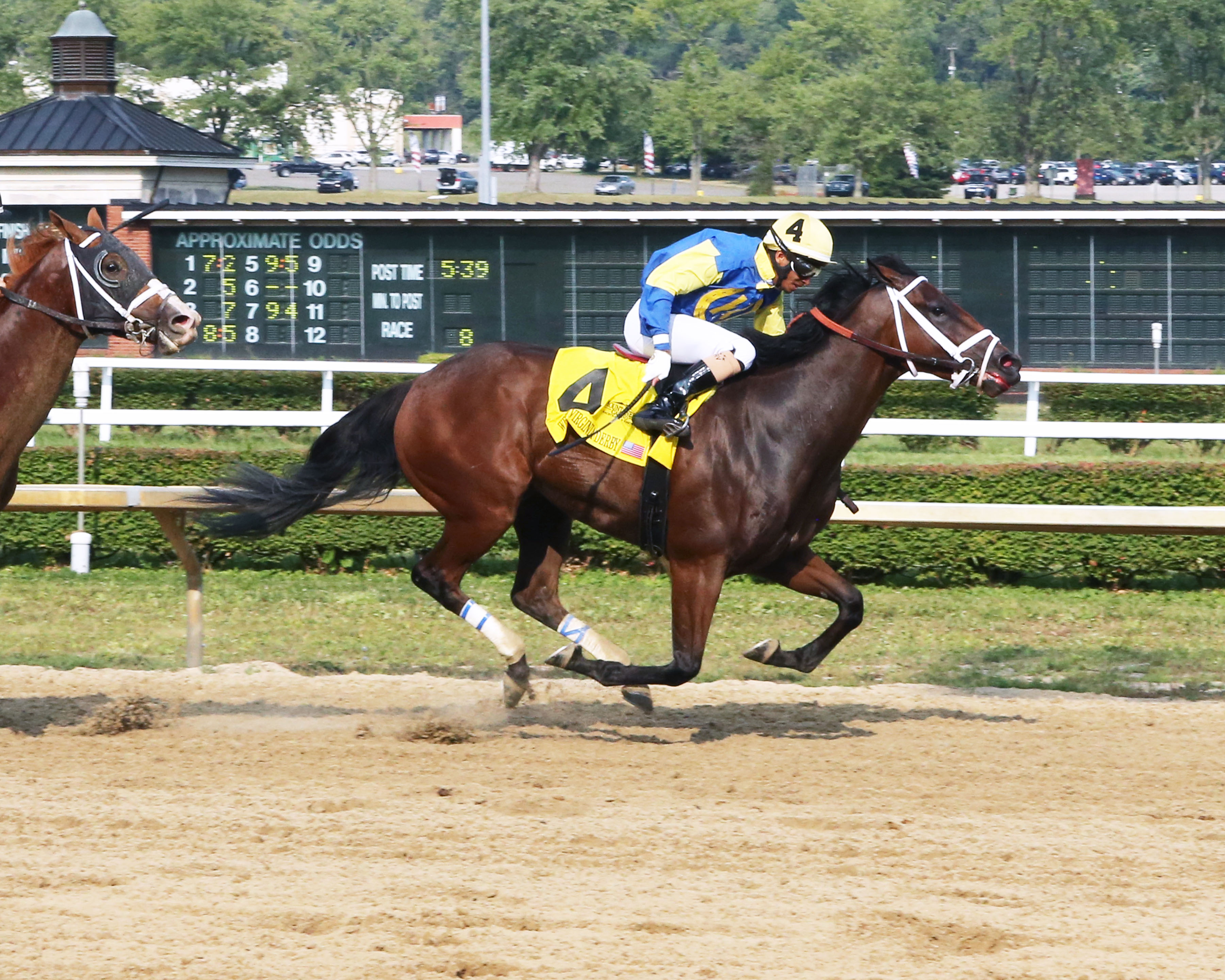 Mr. Wireless, WVA Derby