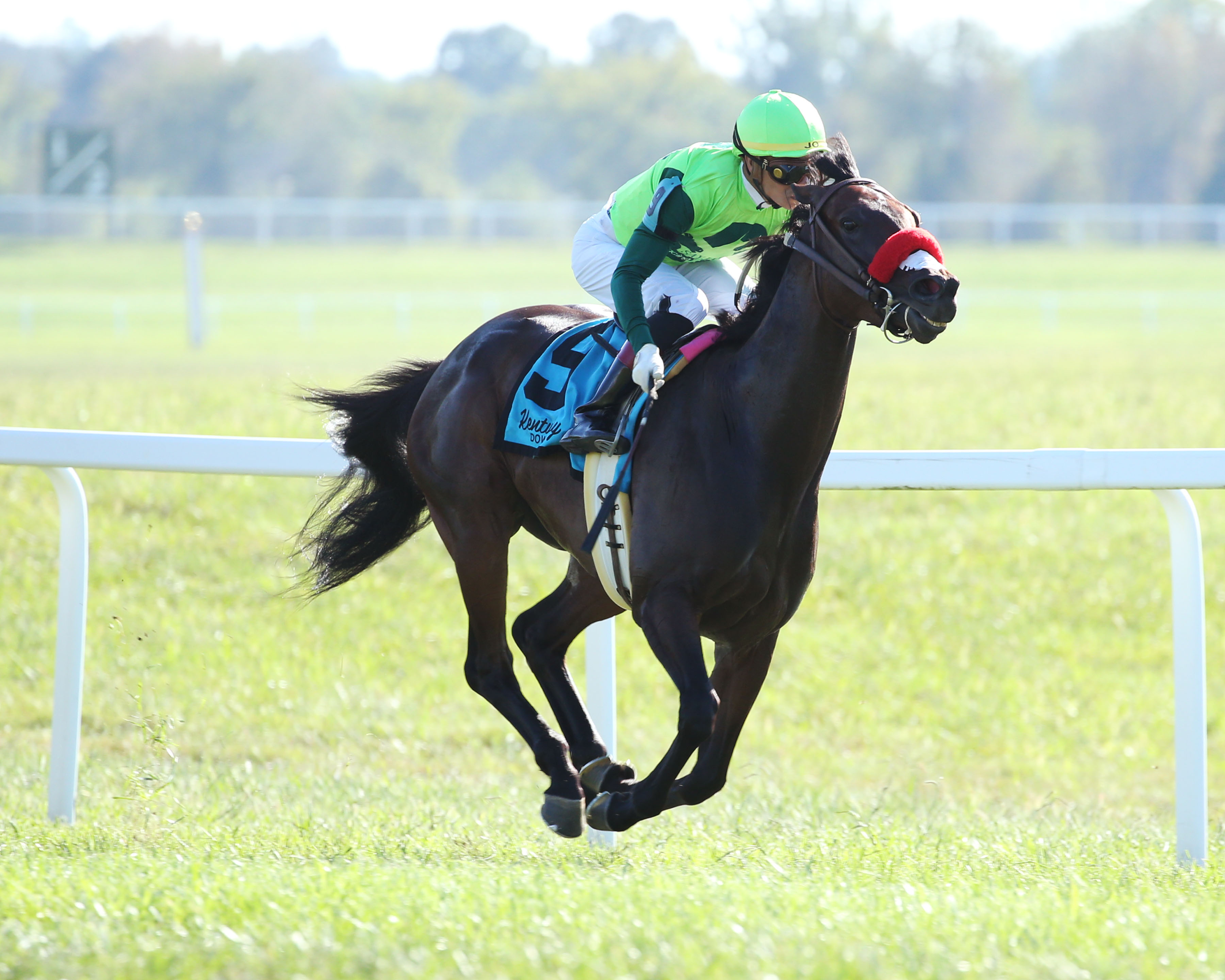 Ms Bad Behavior wins the 2019 KY Downs Ladies Turf Stakes
