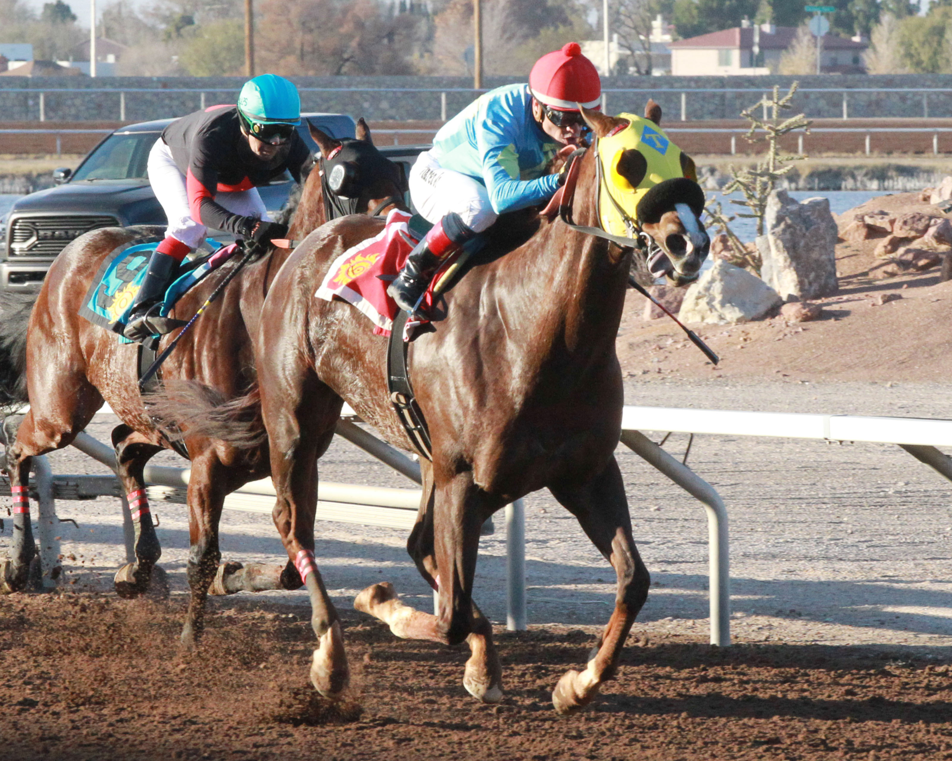 Mt Veeder wins the 2017 KLAQ Handicap