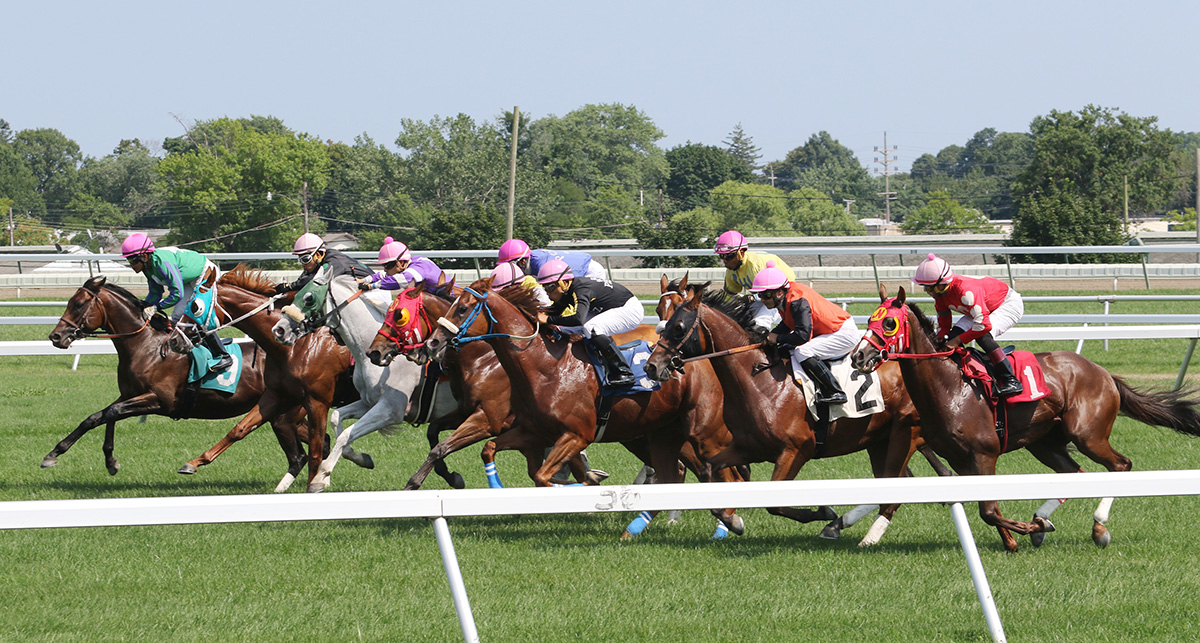 Monmouth turf racing