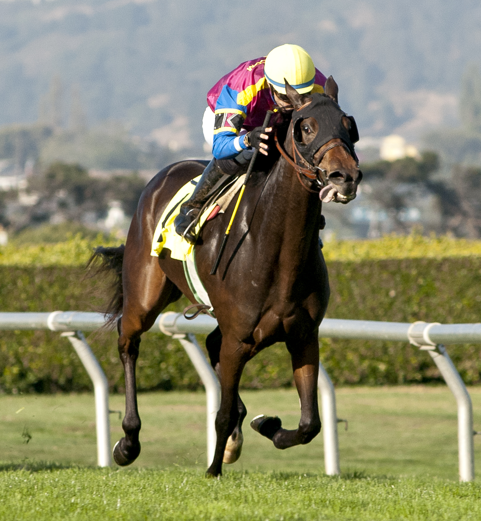 Multiplayer wins the 2017 Pike Place Dancer Stakes