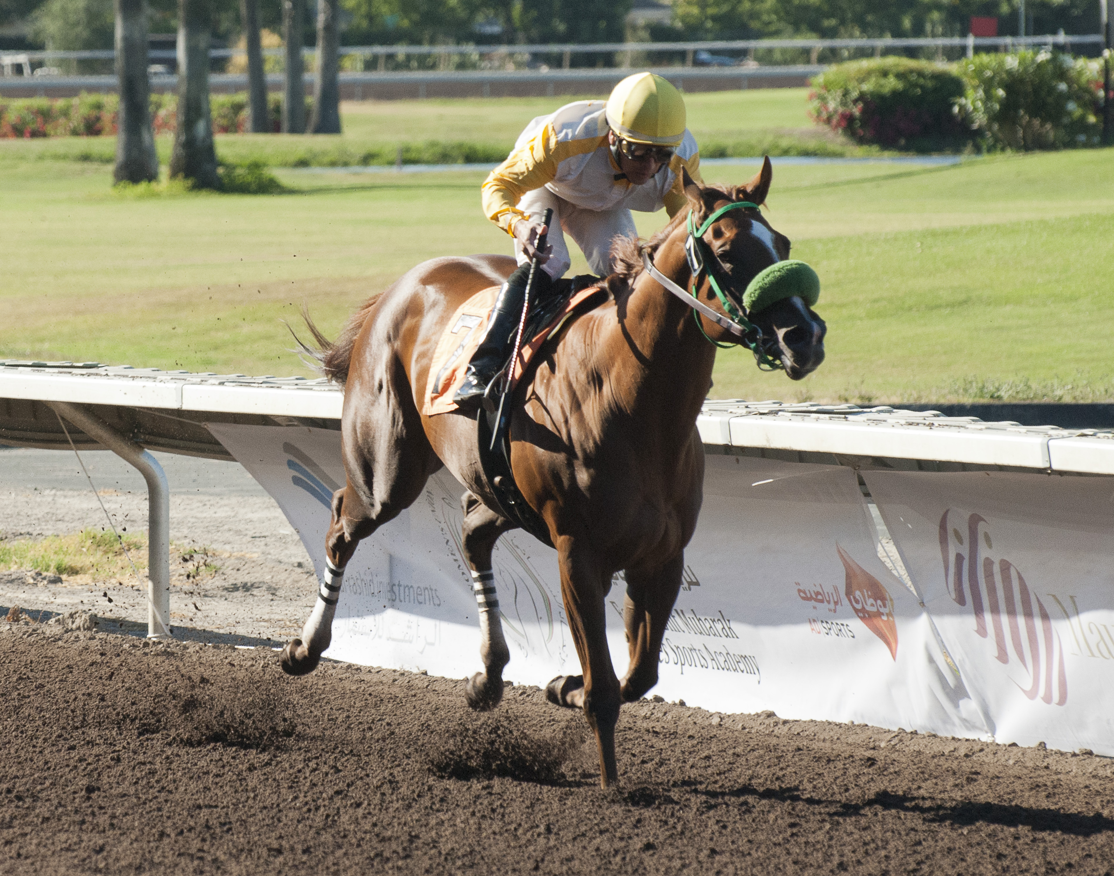 Munnings Sister 6-23-2012