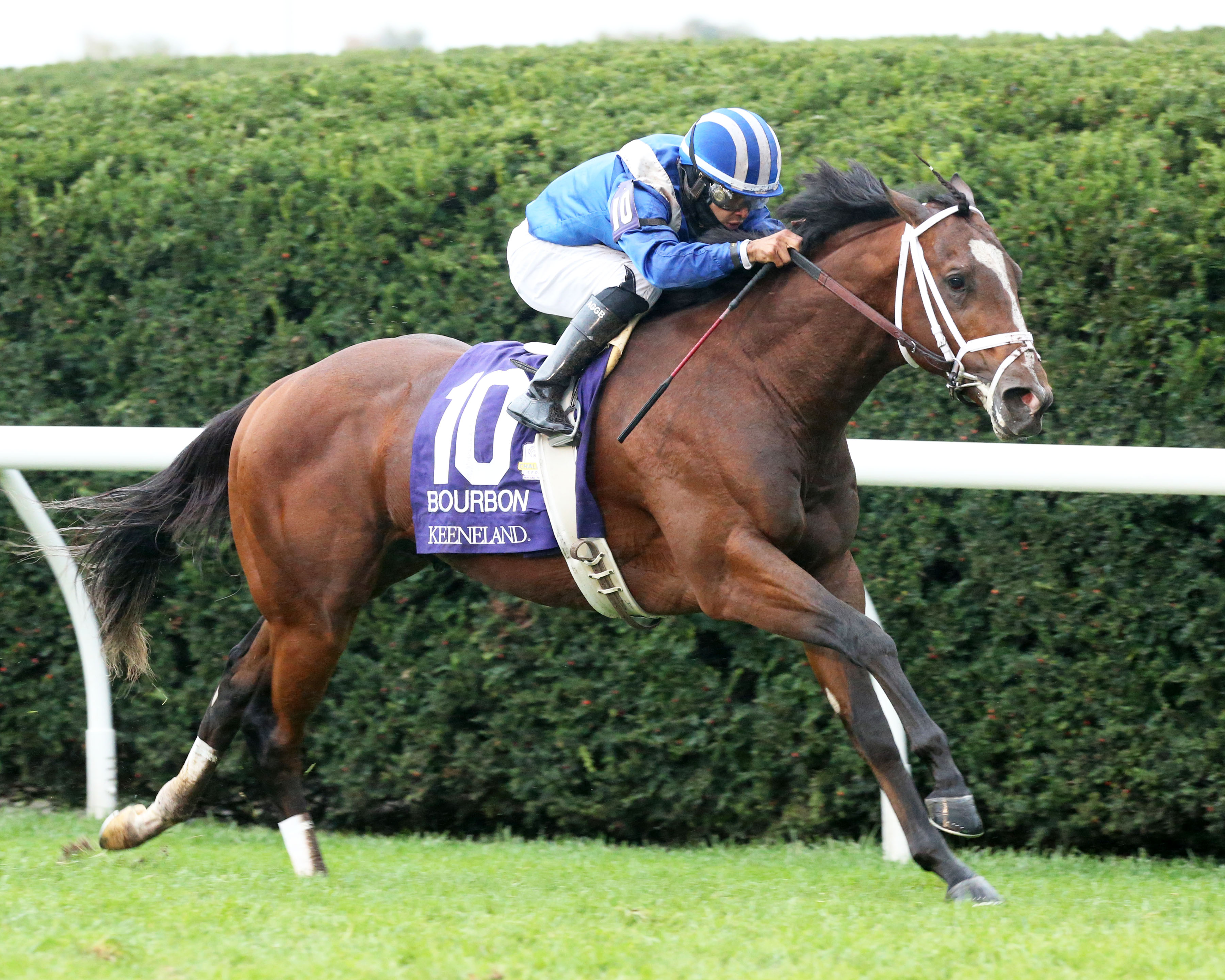 Mutasaabeq wins Bourbon 10-4-2020