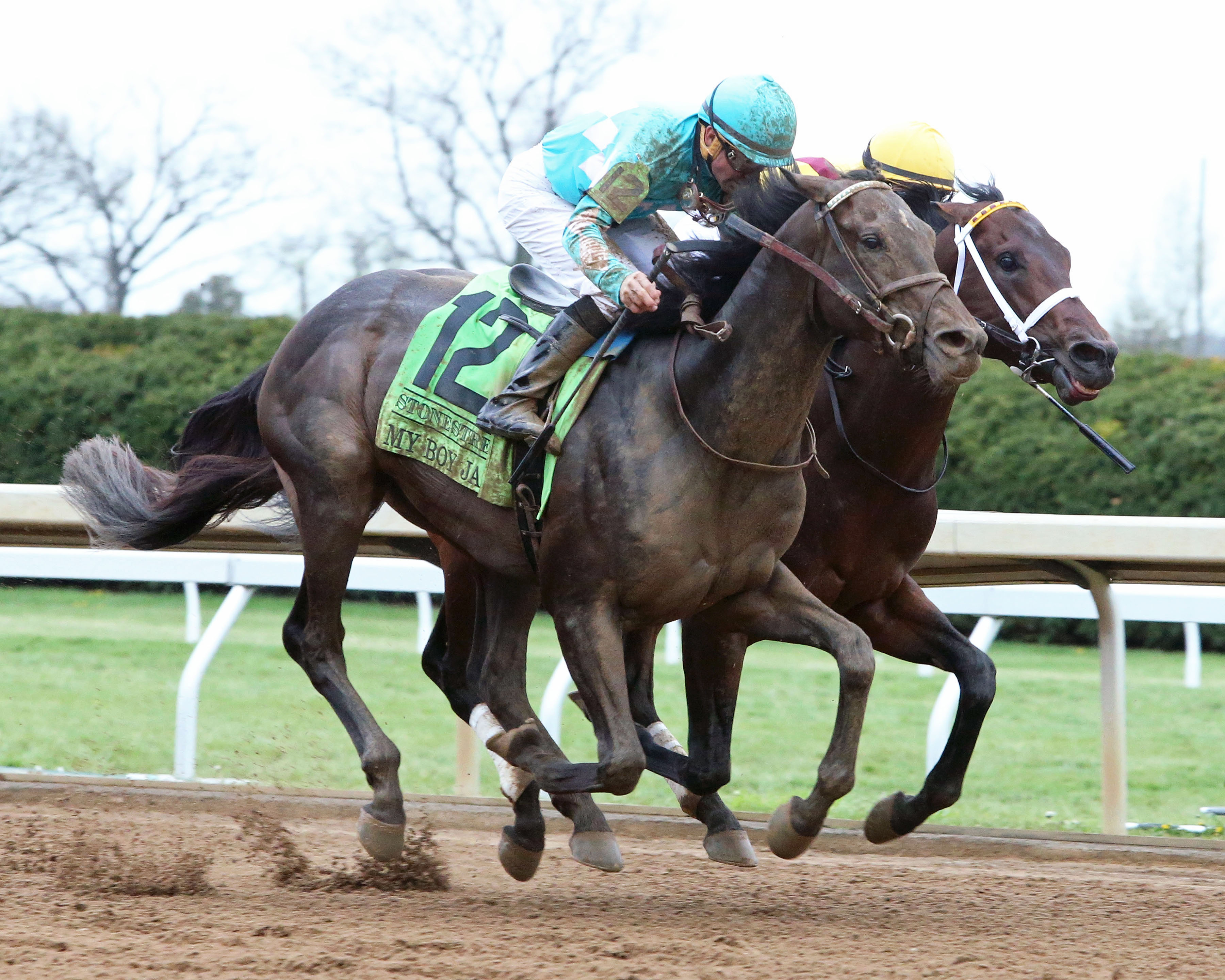 My Boy Jack - outside - wins the 2018 Lexington Stakes