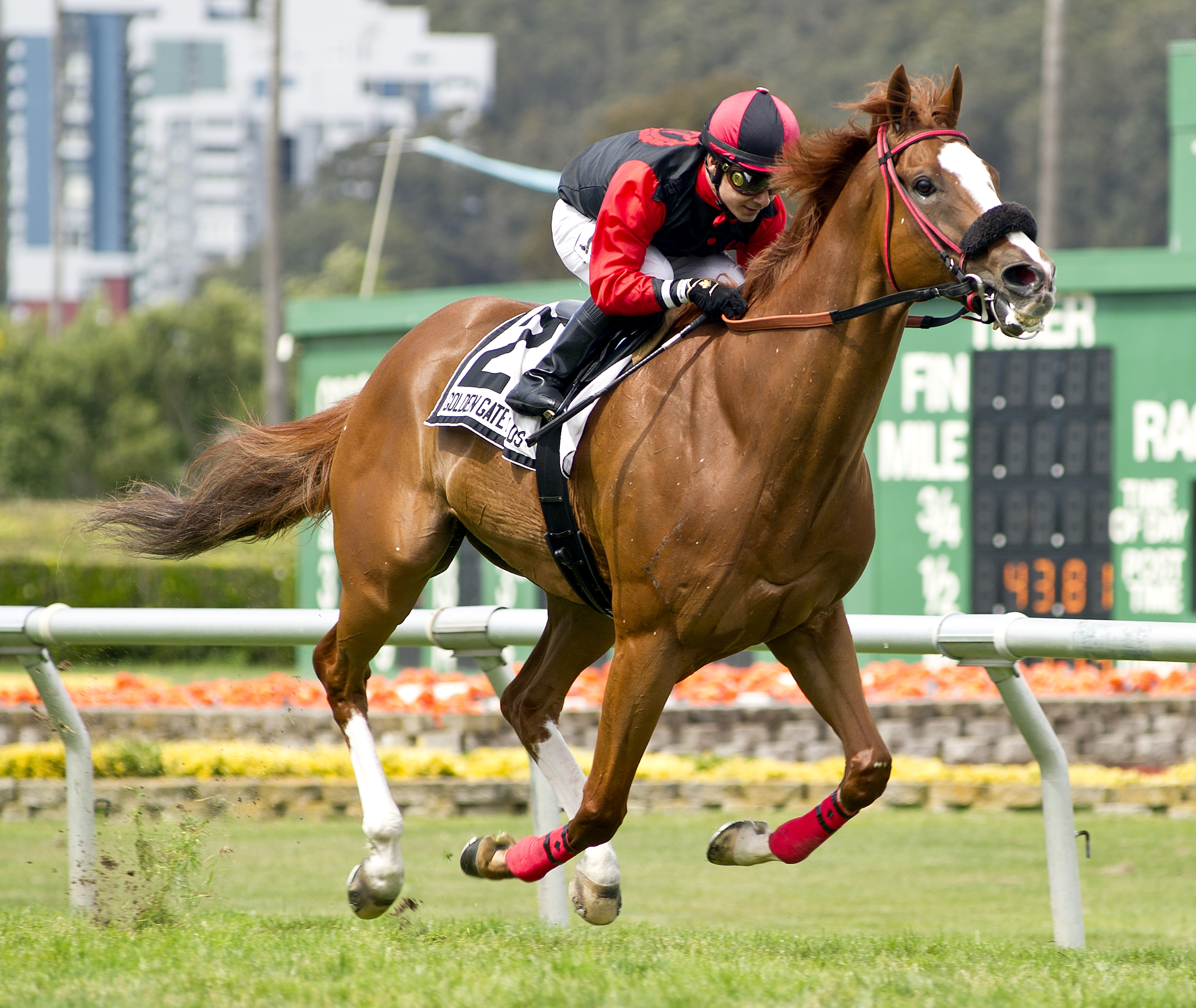 My Friend Emma wins the first division of the 2018 Albany Stakes