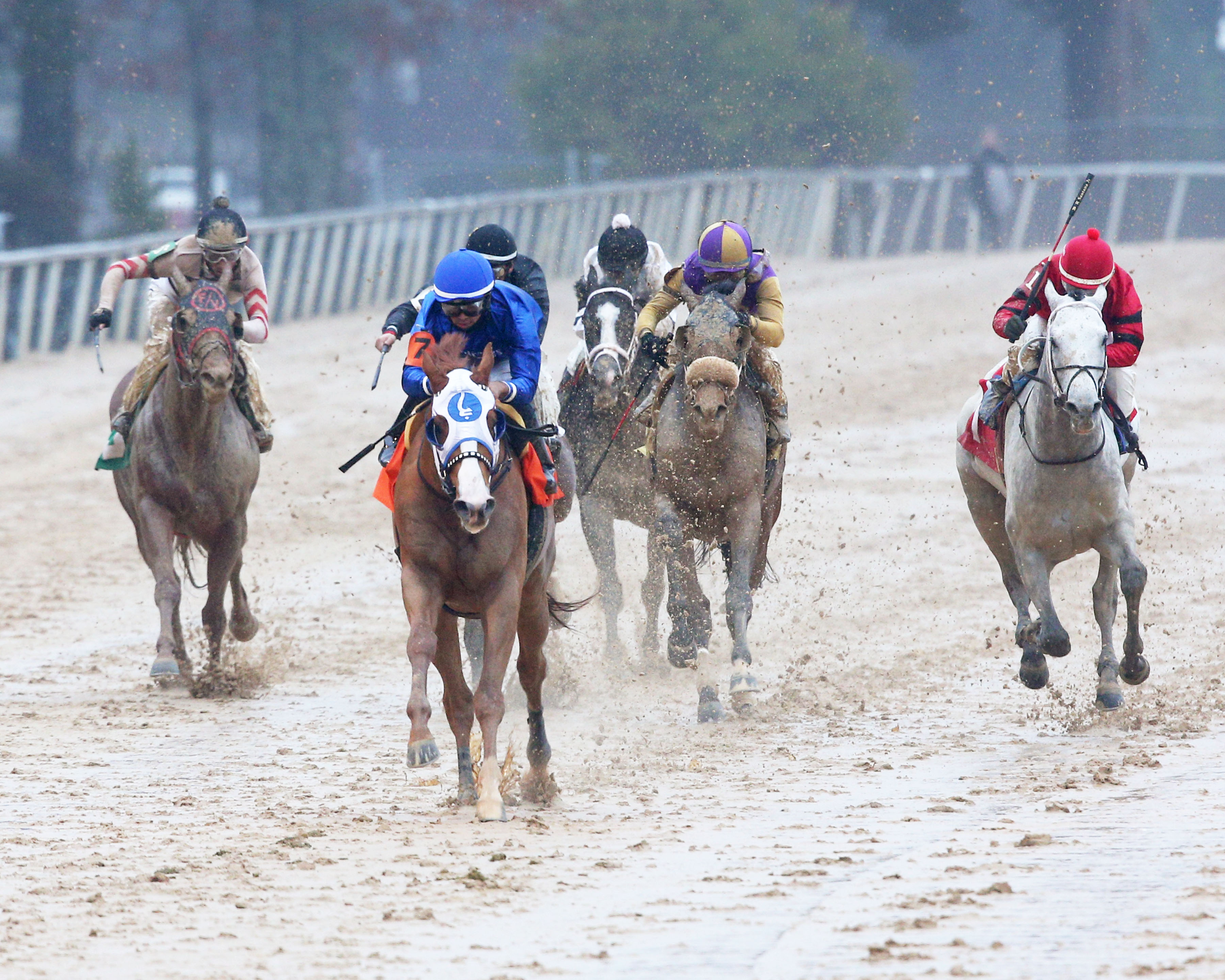 Mystic Guide wins the Razorback 2-27-2021