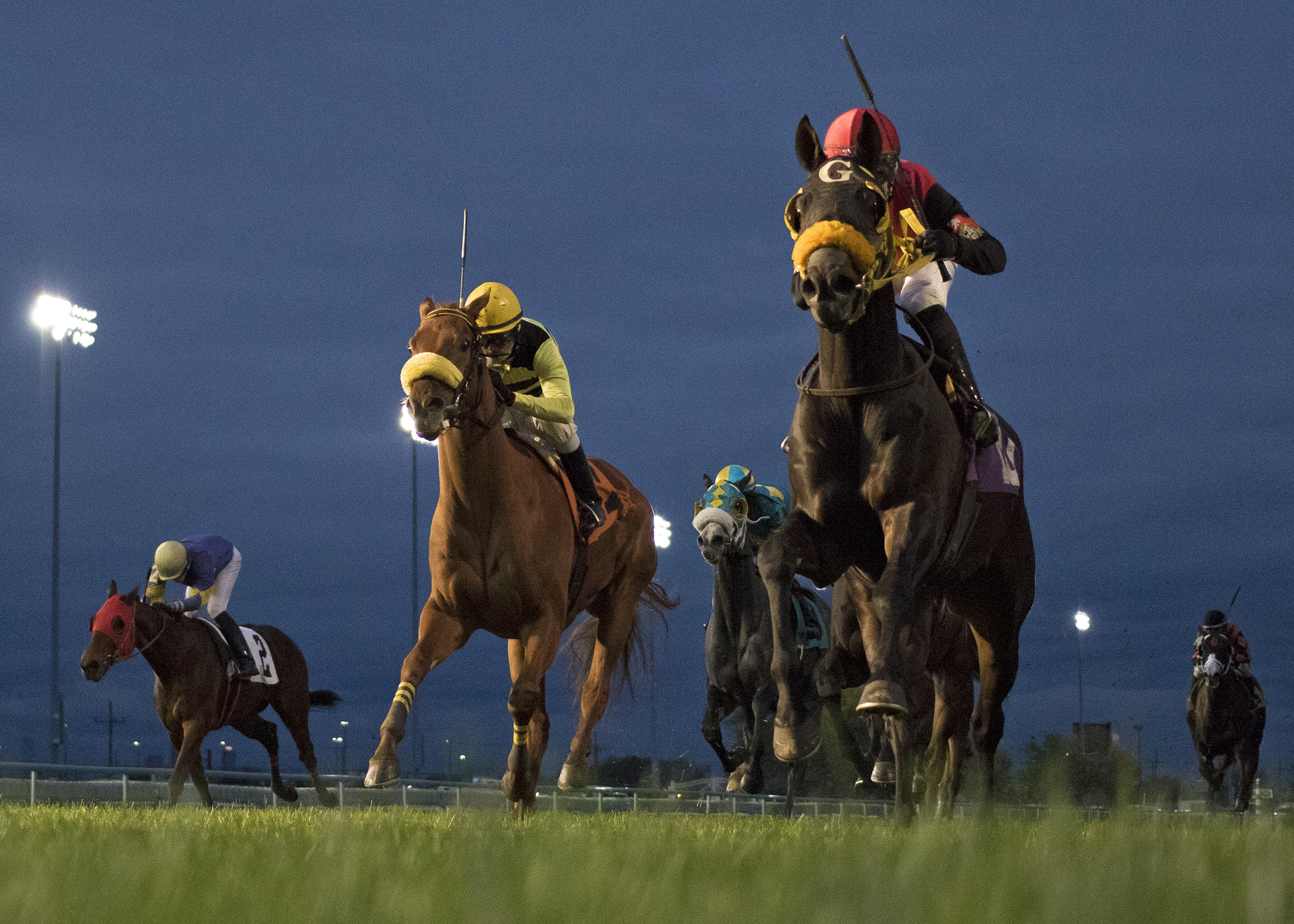 My Bariley - right in blinkers - wins the 2017 Hawthorne Derby