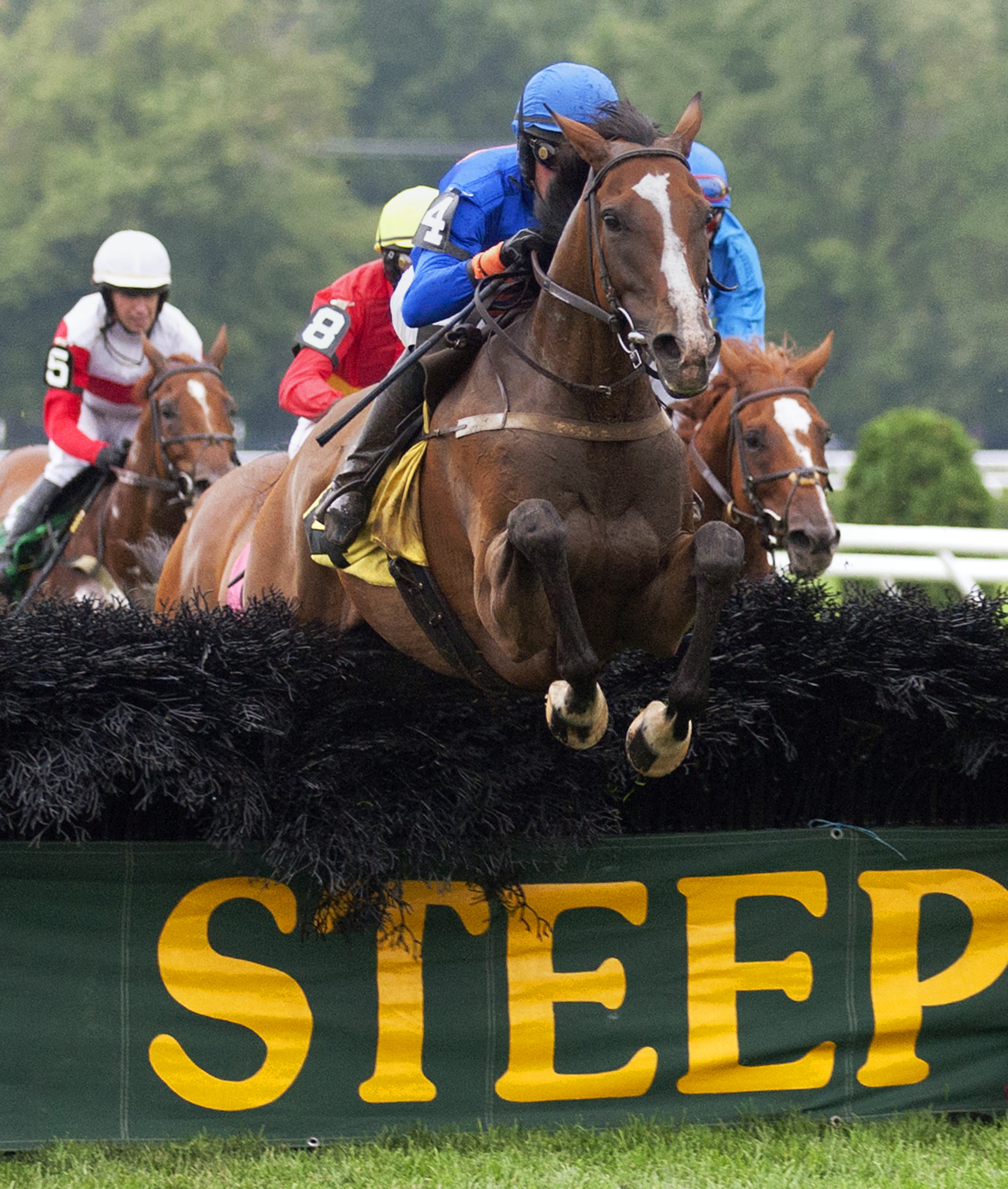 Mabou/N.Y. Turf Writers
