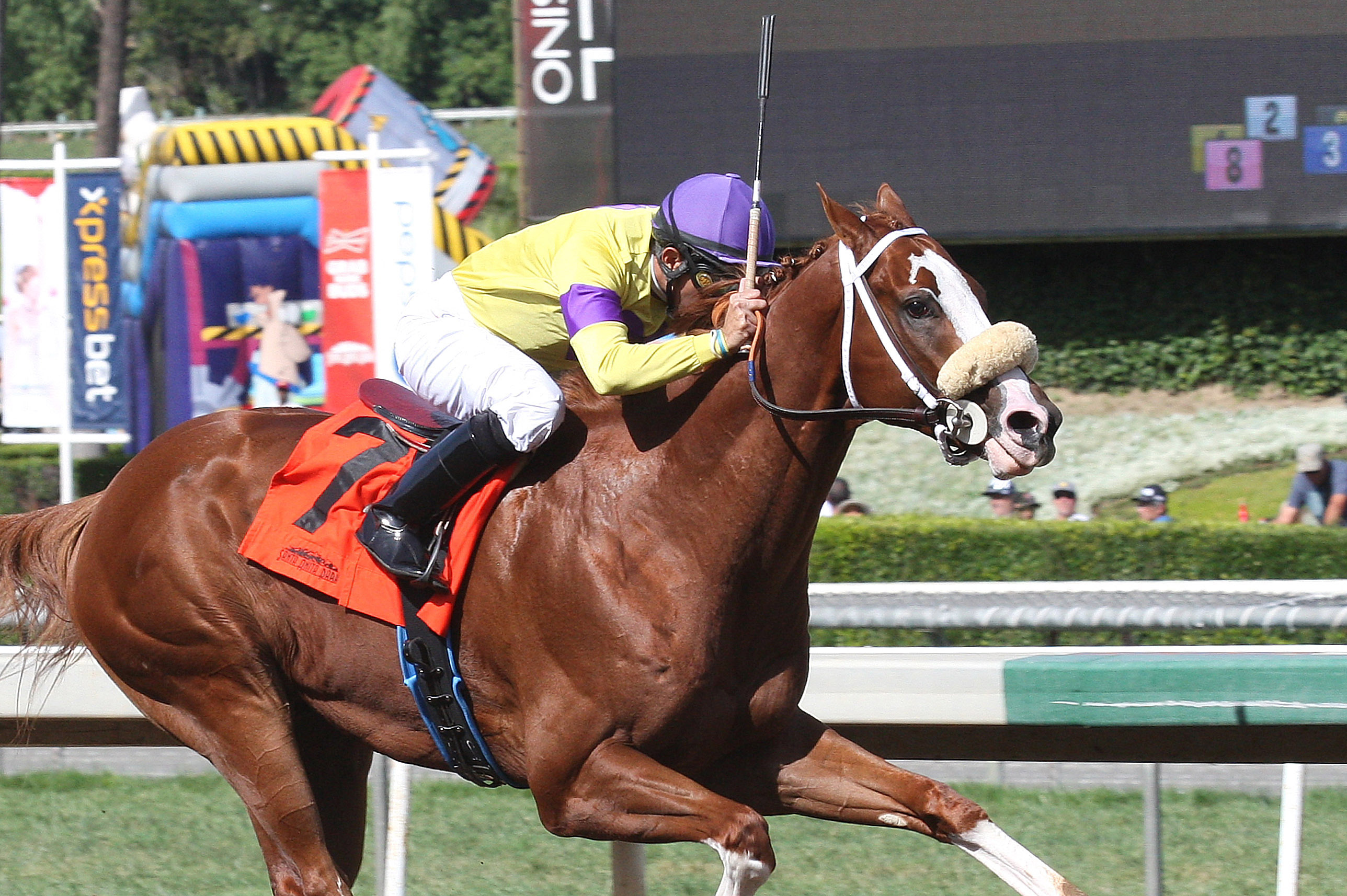 Mac Daddy Mac wins a maiden race