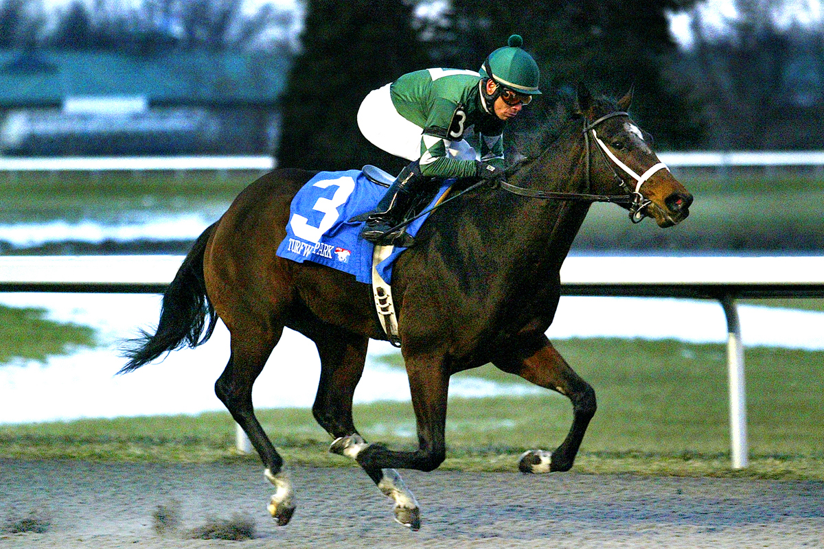 Mac the Man, Turfway Prevue