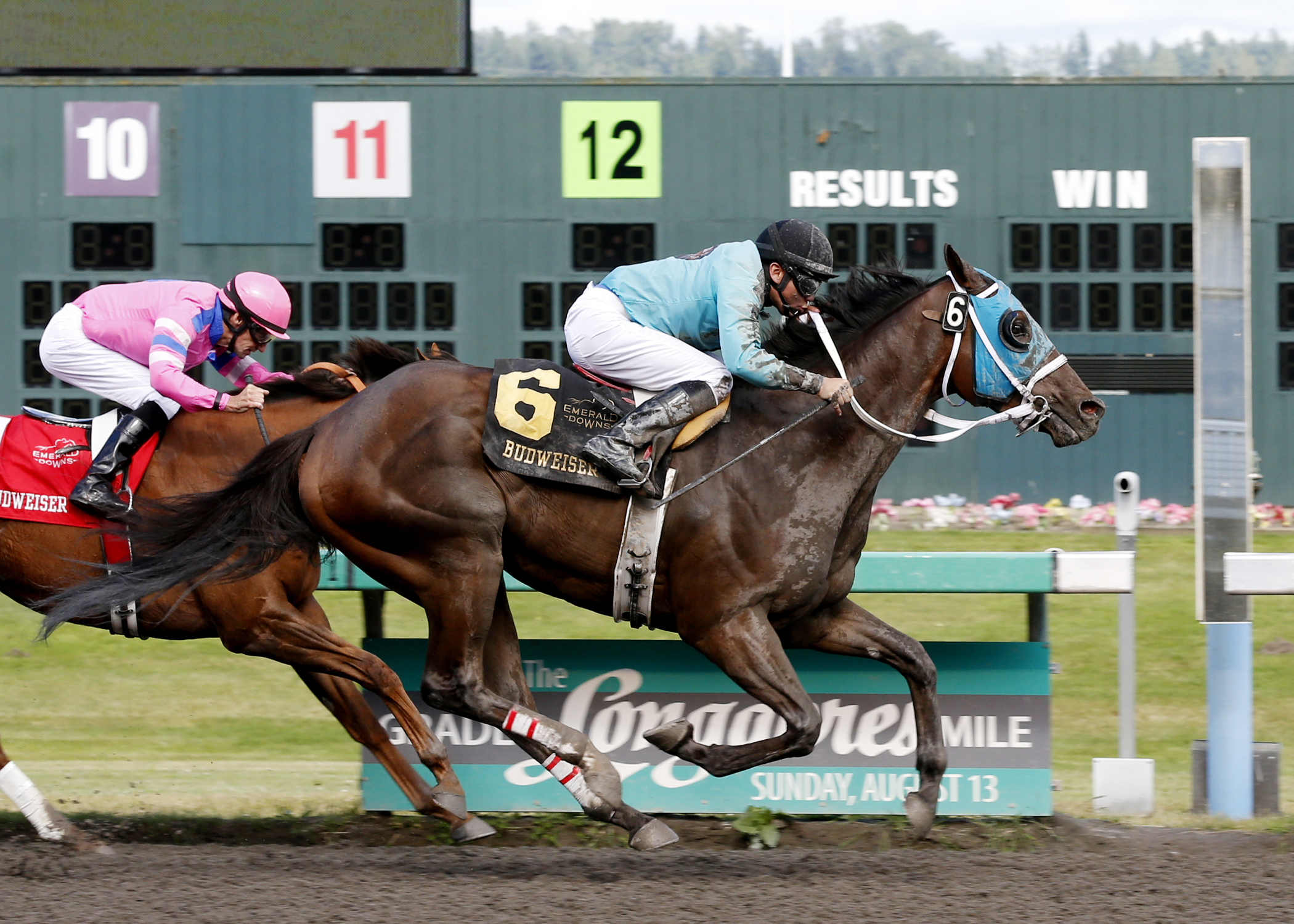 Mach One Rules wins the Budweiser Stakes
