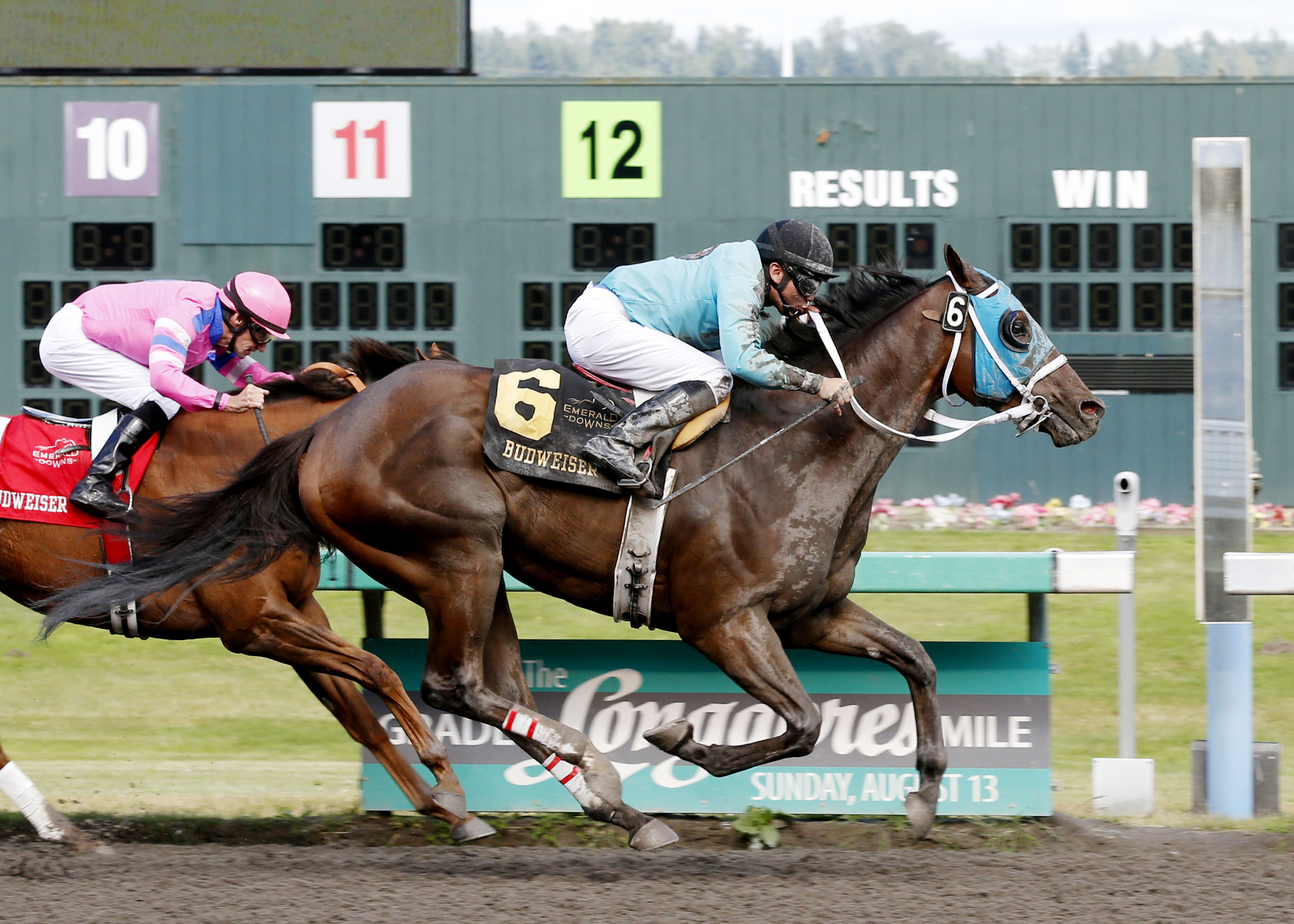 Mach One Rules wins the 2017 Budweiser Handicap