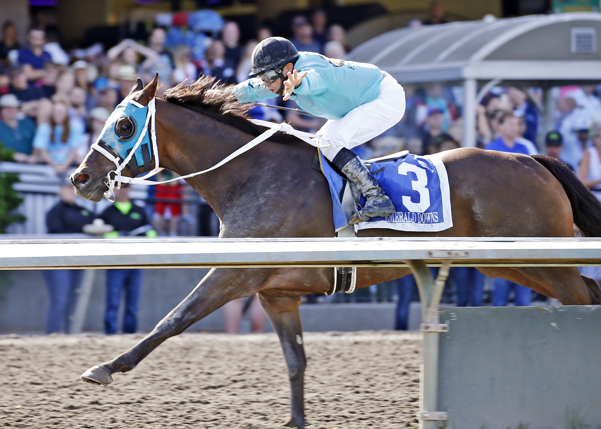 Mach One Rules wins the Mt. Rainier Stakes at Emerald Downs on 7.16.17