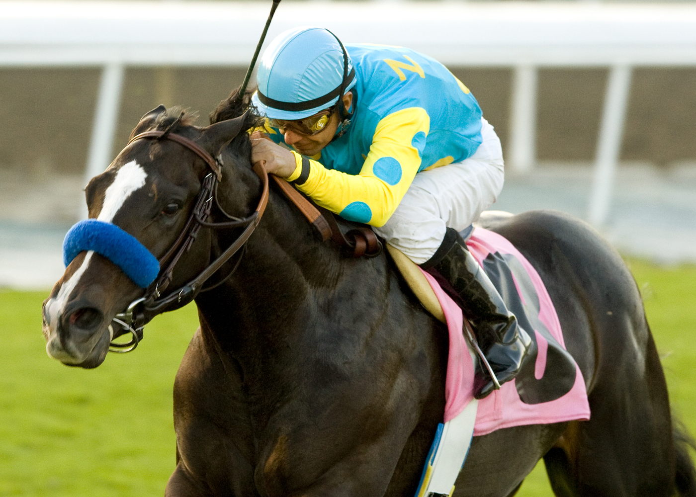 Macias wins the 2009 Eddie Logan at Santa Anita