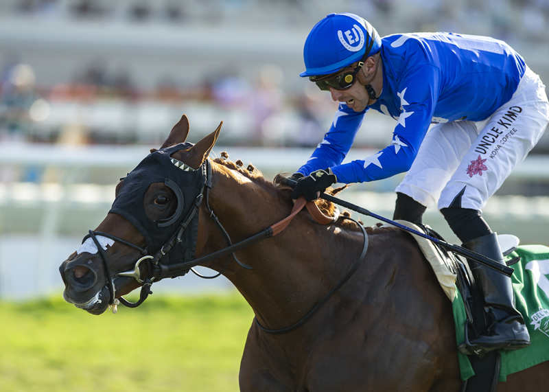 Mackinnon, Dmr Juvenile Turf