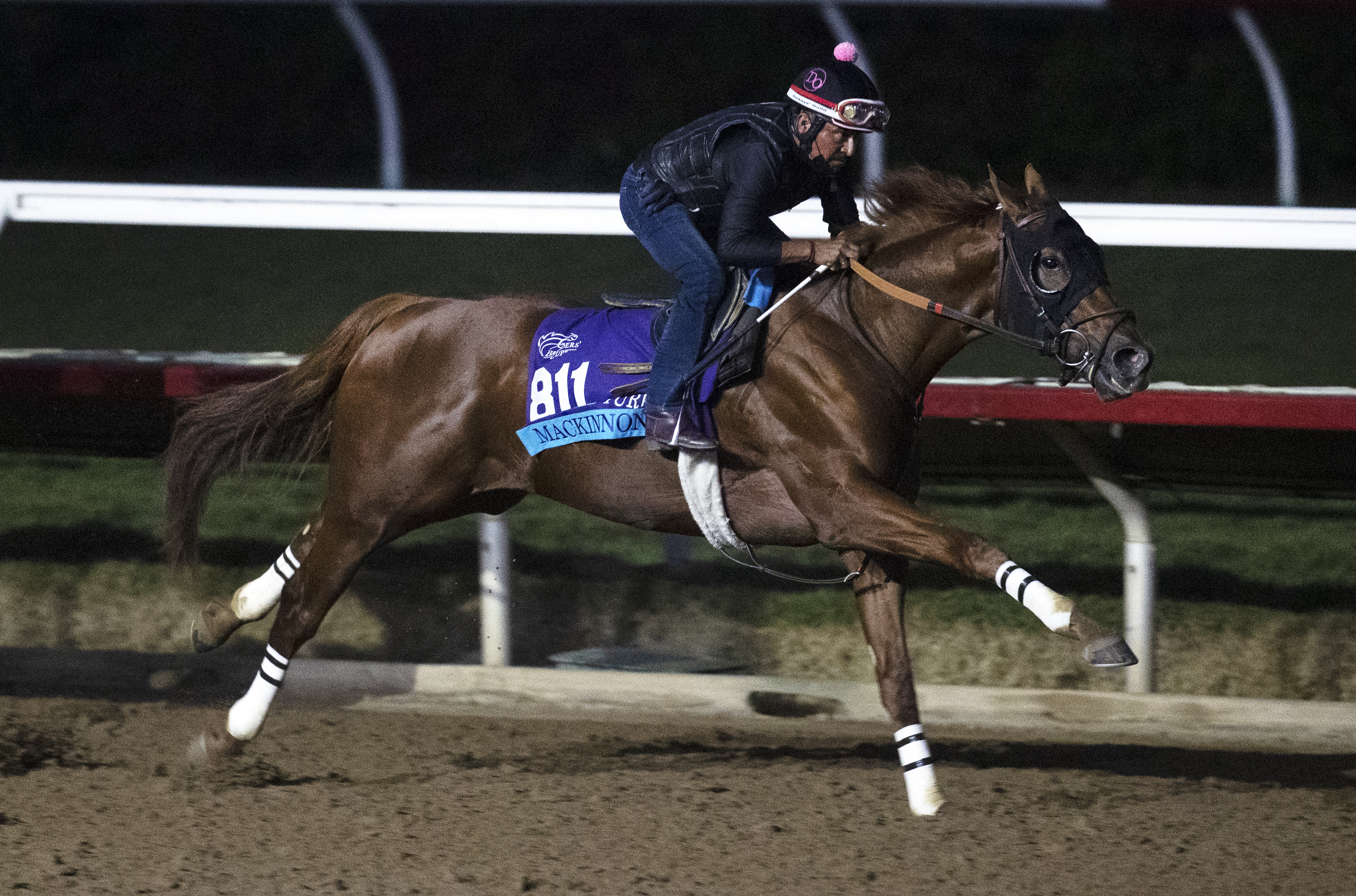Mackinnon works for Breeders' Cup 10-30-2021
