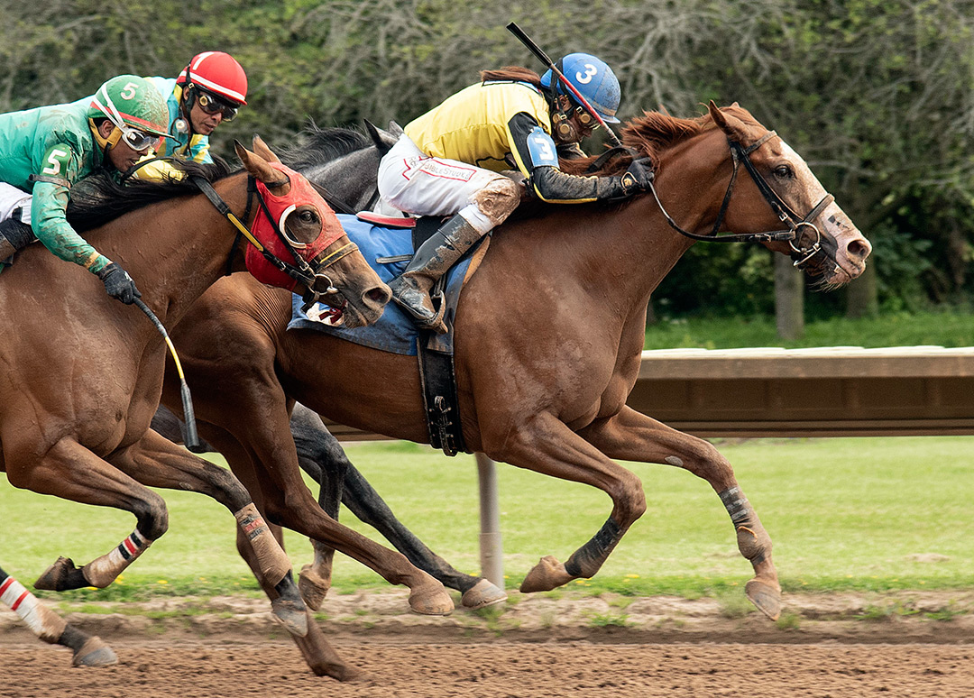 Mad for Fame wins the 2021 Jack Betta Be Rite Stakes at Finger Lakes Racecourse