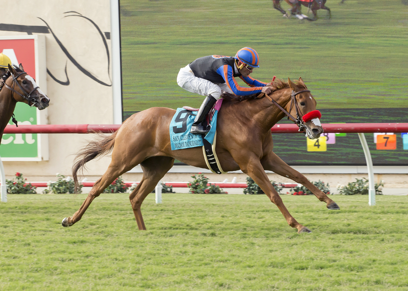 Madam Dancealot wins the 2017 San Clemente