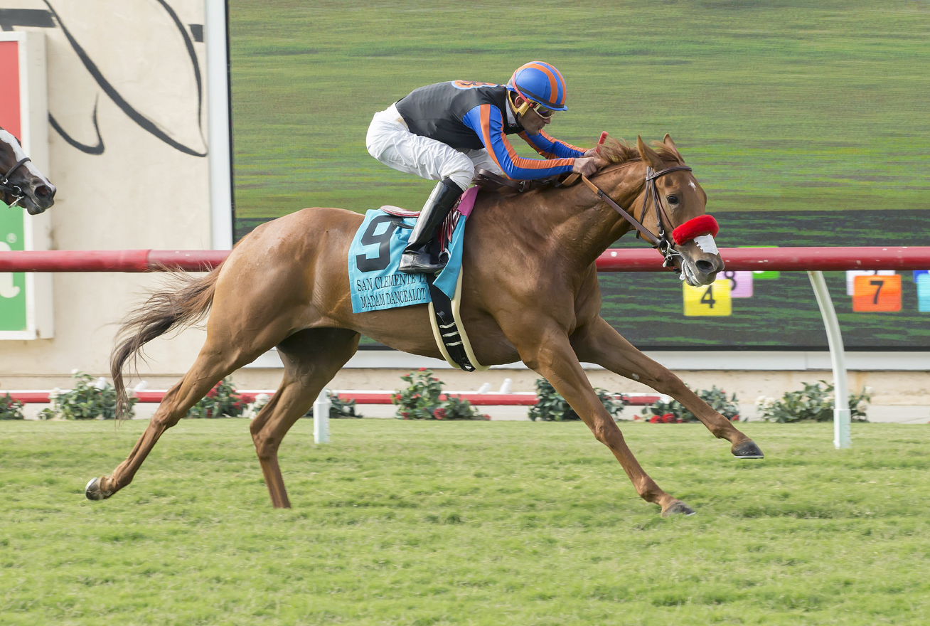 Madam Dancealot wins the 2017 San Clemente Handicap