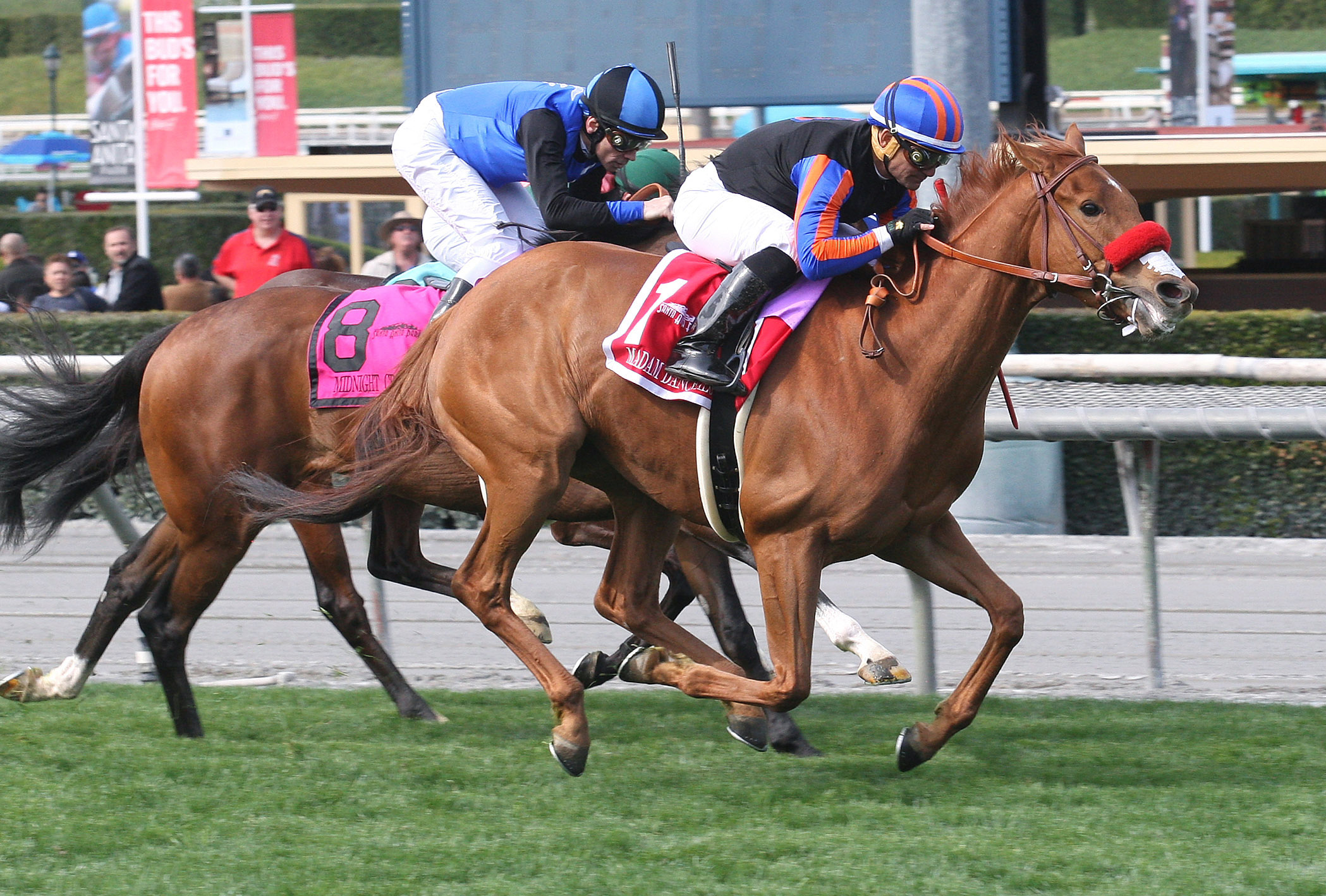 Madam Dancealot wins the 2018 Santa Ana Stakes