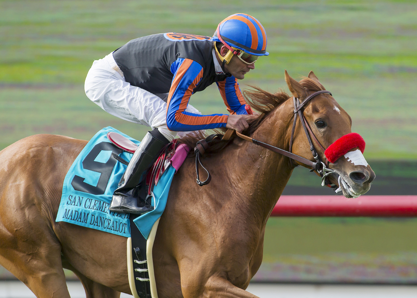 Madam Dancealot wins the San Clemente Handicap