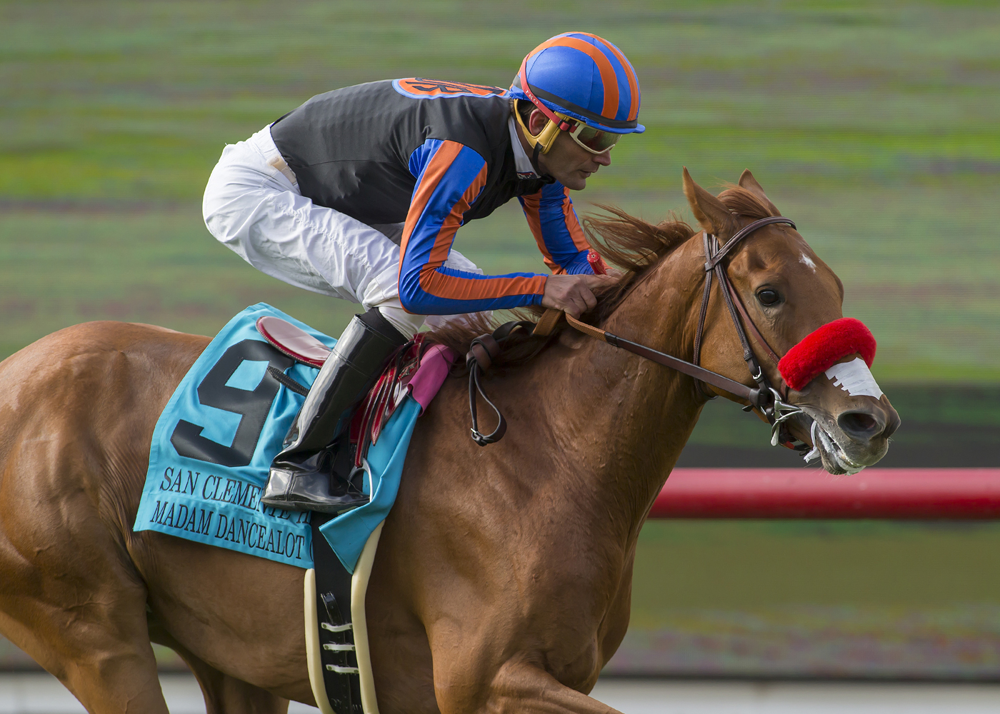 Madam Dancealot wins the San Clemente Handicap at Del Mar 7.23.17_BA