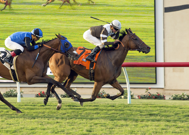 Madame Stripes wins the Osunitas Stakes