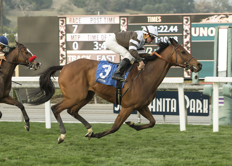 Madame Stripes wins the 2018 Megahertz Stakes