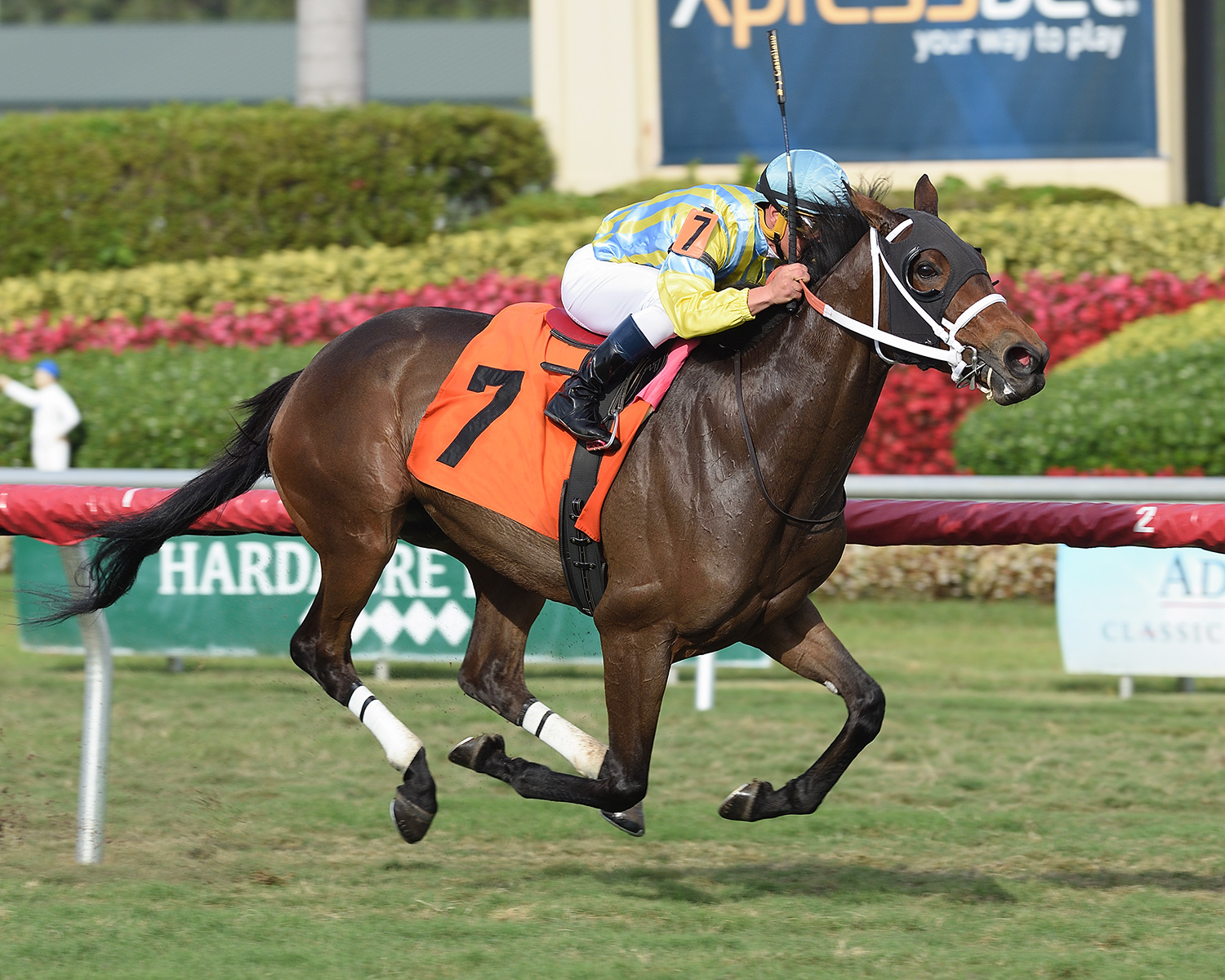 Madame Uno wins a March 7 allowance race at Gulfstream