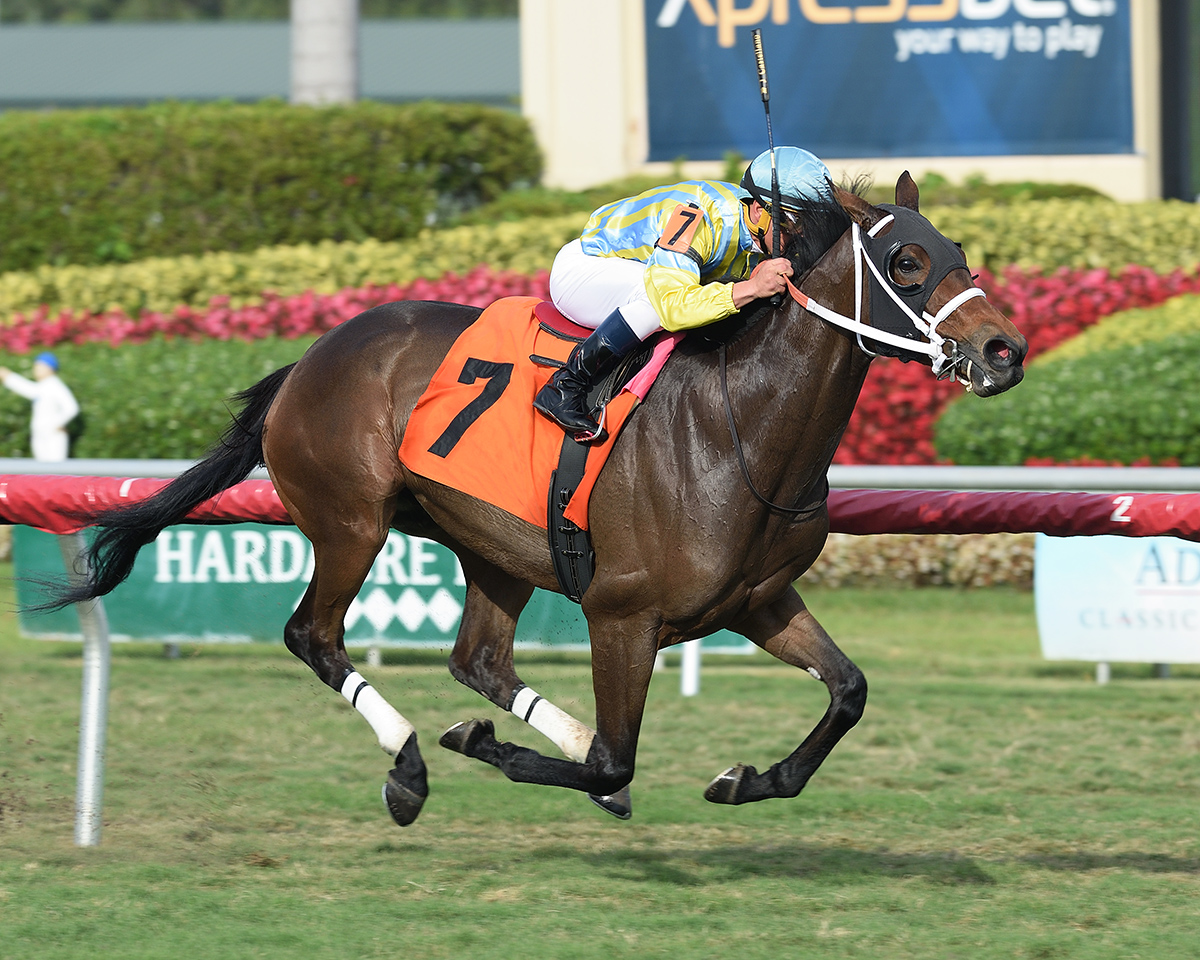 Madame Uno wins a March 7 allowance race at Gulfstream