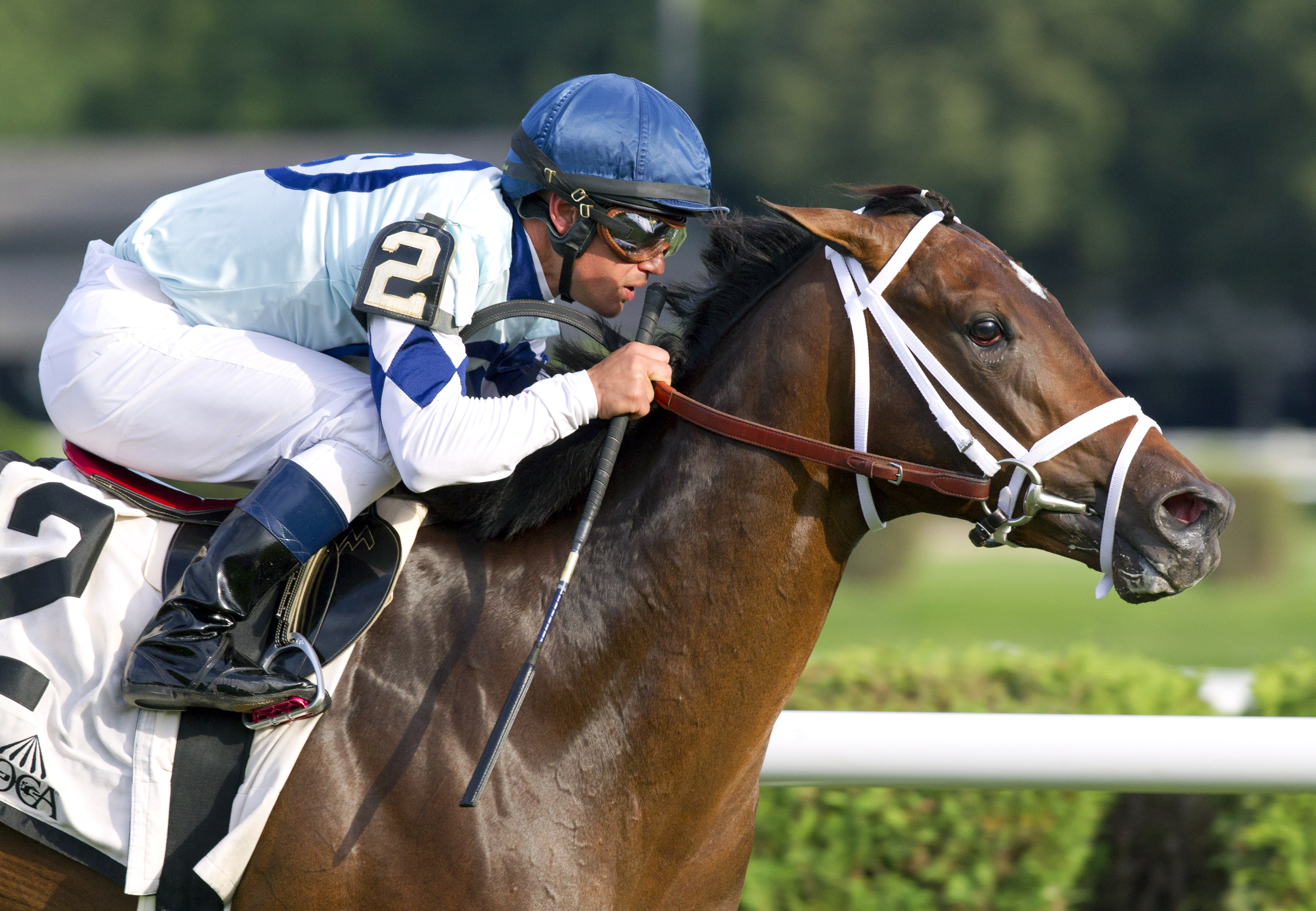 Made You Look wins the With Anticipation Stakes