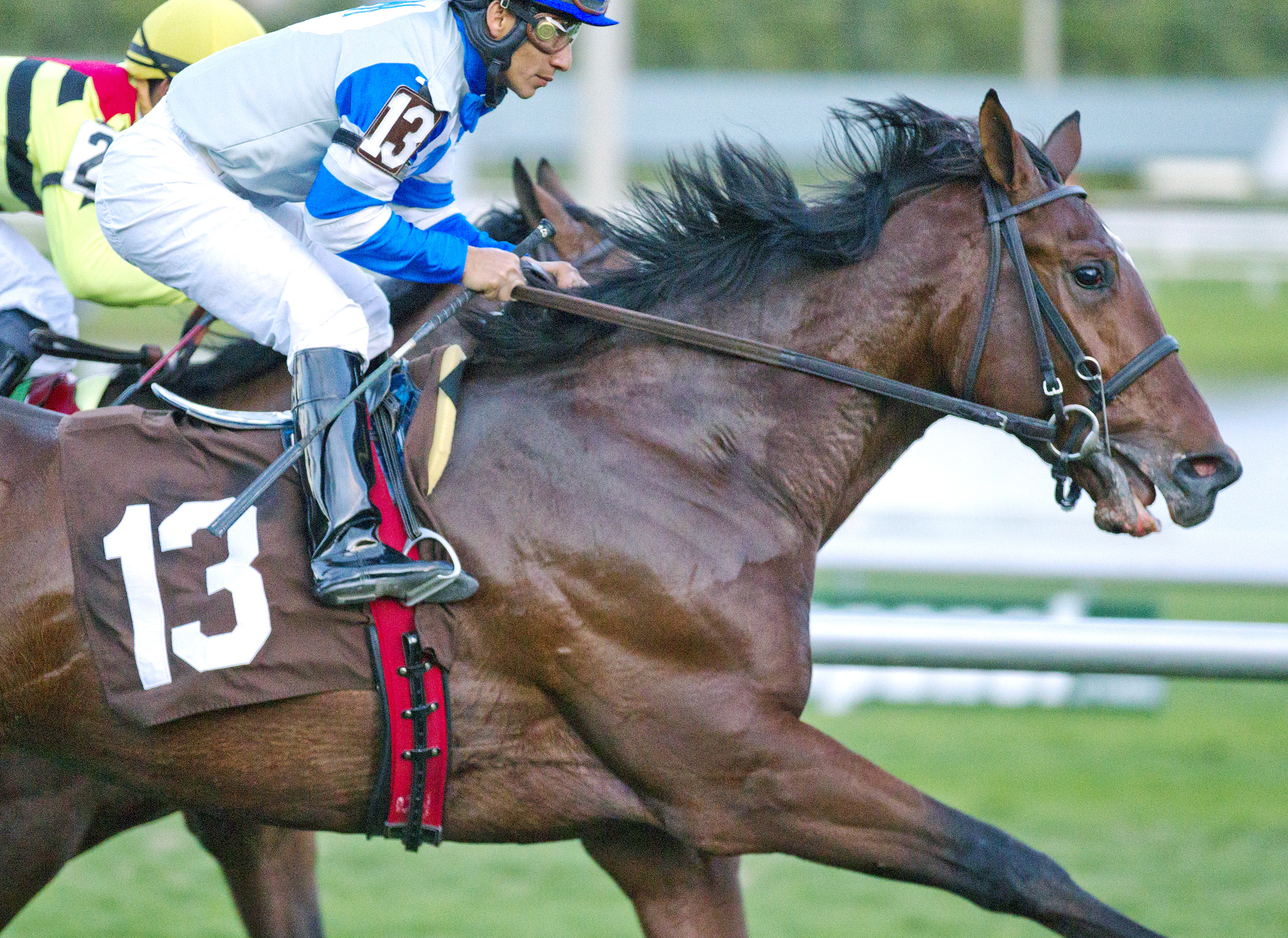 Made in Detroit wins a maiden race