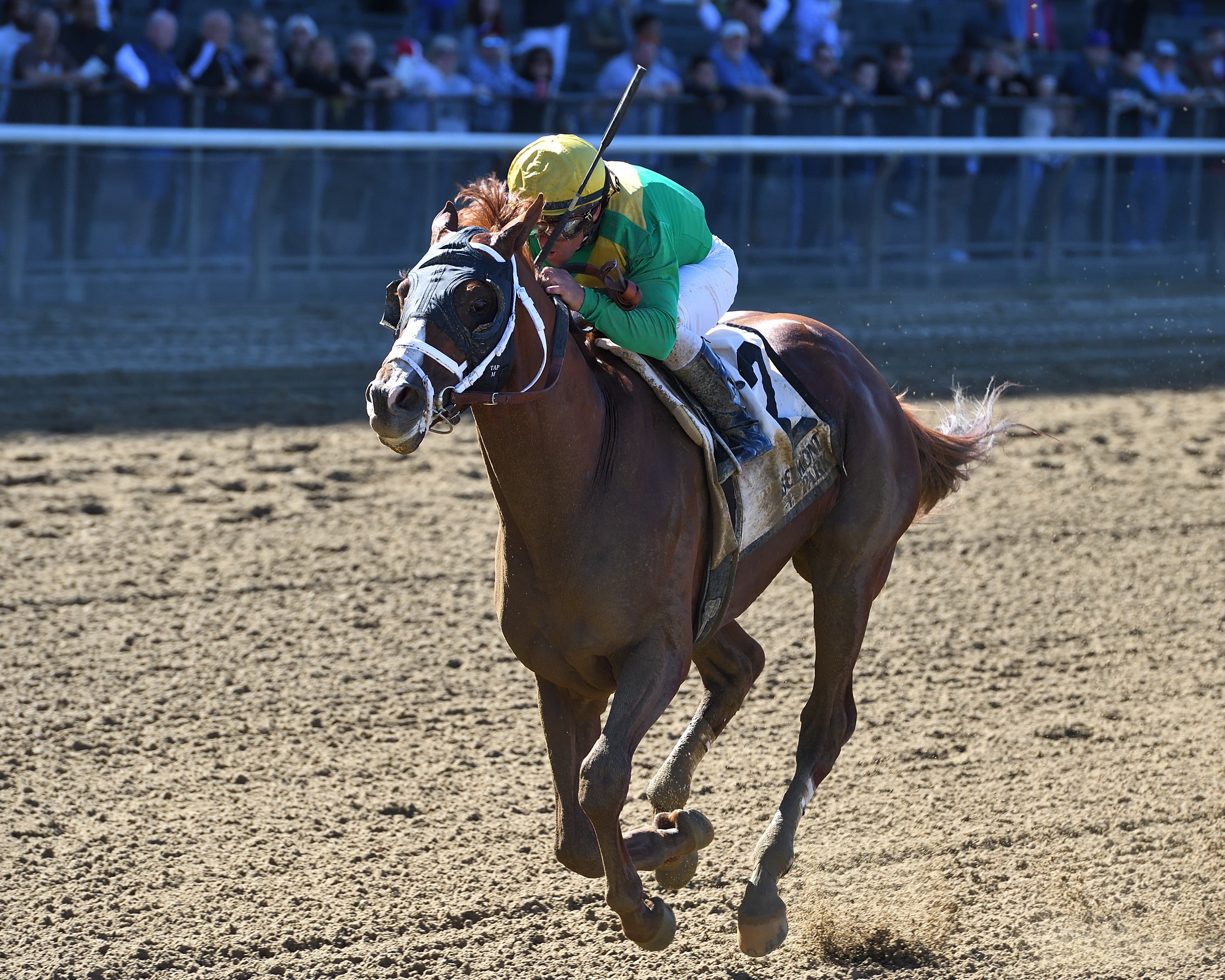 Madefromlucky wins the 2017 Temperence Hill Stakes