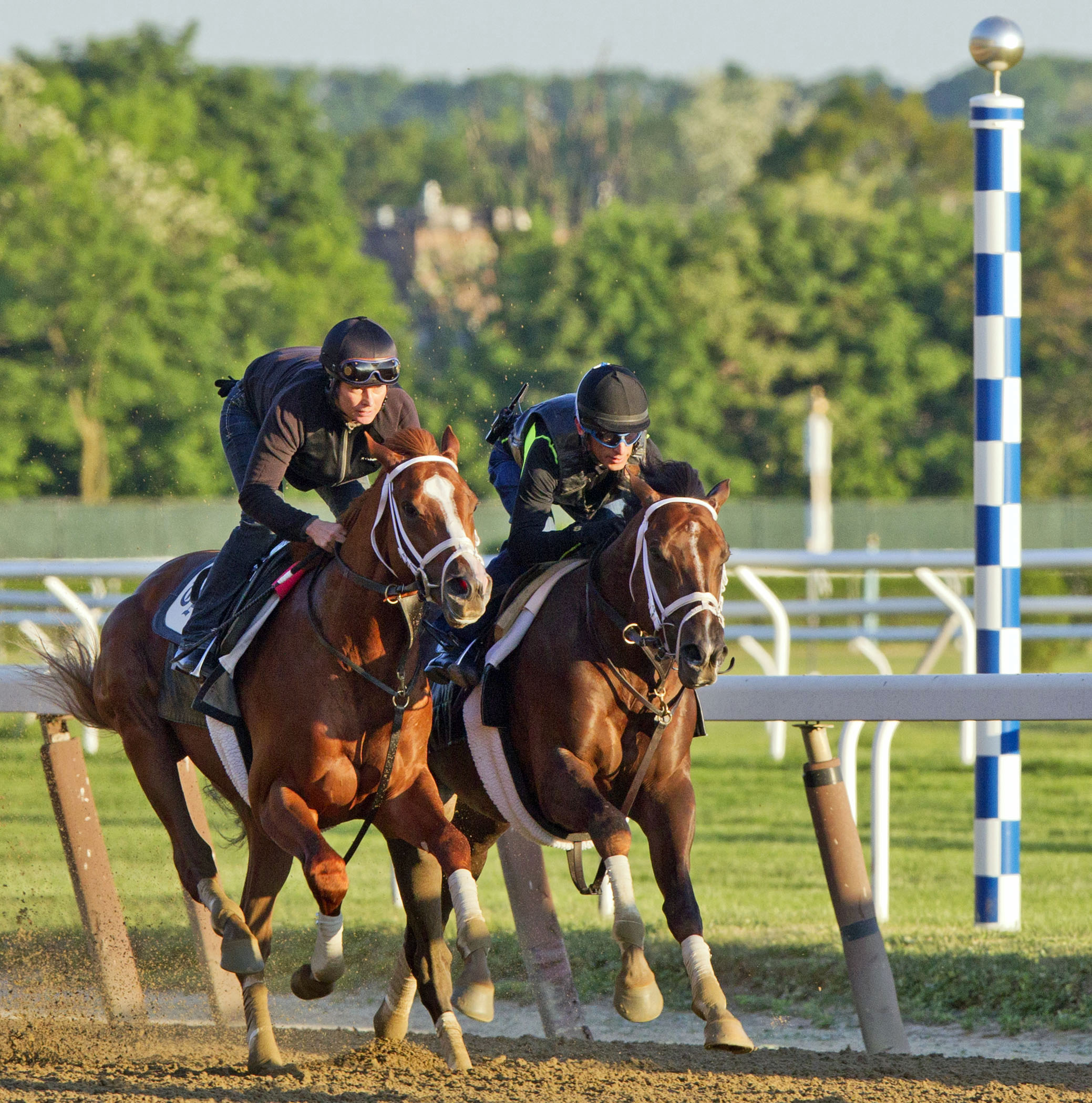 Madefromlucky and Carpe Diem work at Belmont Park
